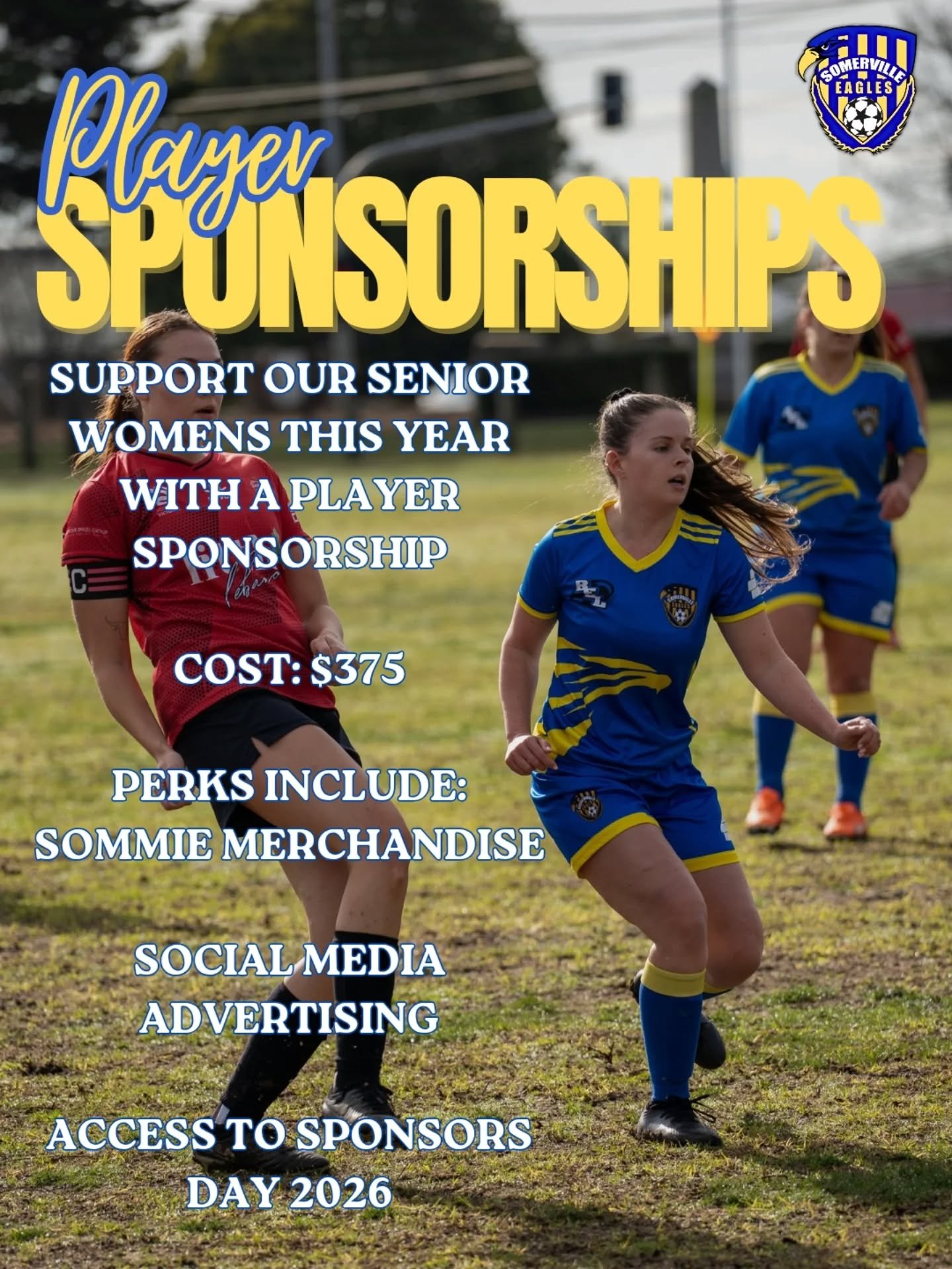 🦅 SPONSORSHIP OPPORTUNITY ⚽️

This year, you have the chance to become a player sponsor for a member of our Sheagles! 

For $375, you will be directly supporting one player from the womens team. 

Perks for this player sponsor package includes:

-So