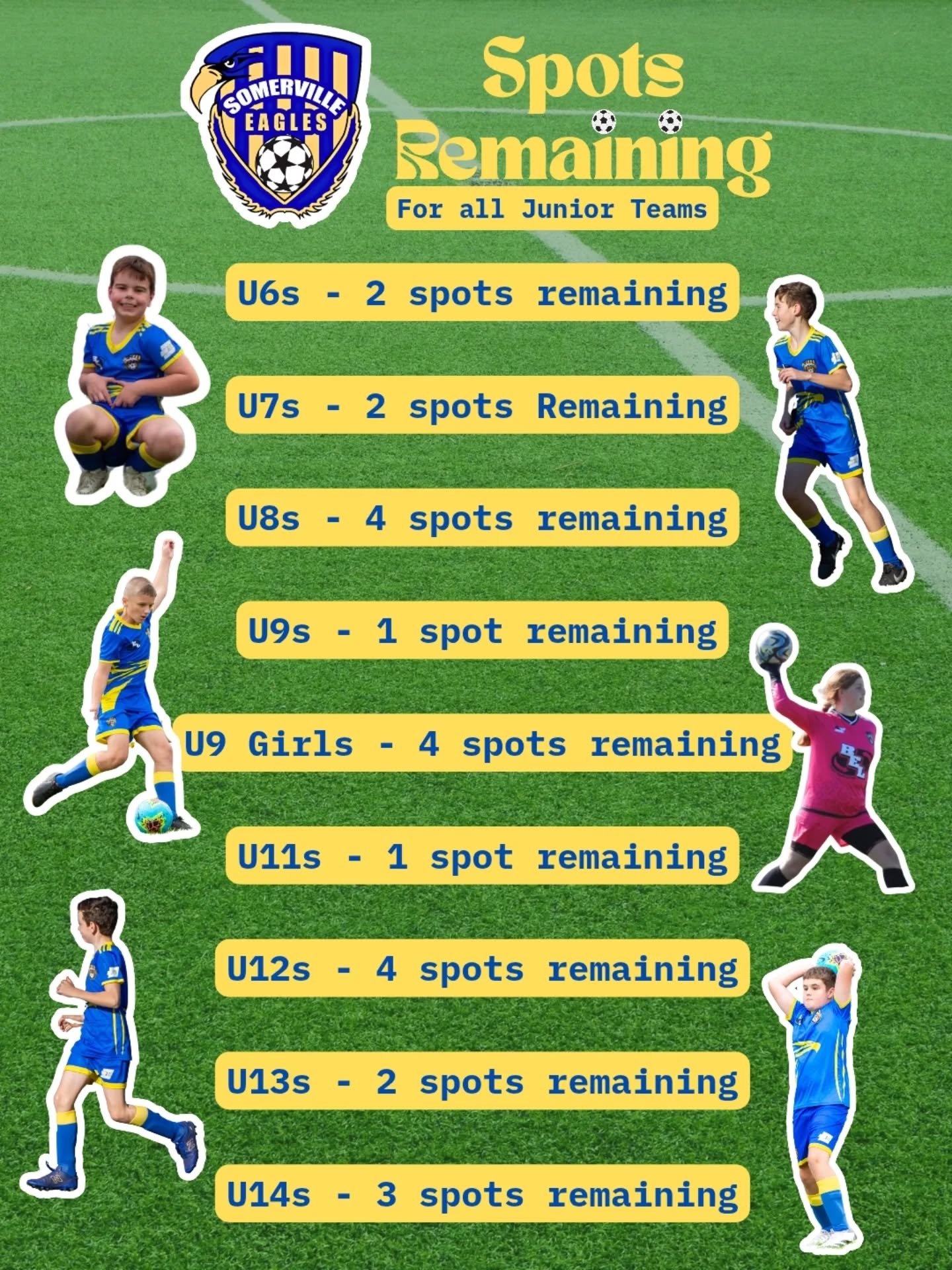 Our Junior teams are almost all full! Limited spots remain so don't miss out.

For any enquires contact Craig at junior@sesc.com.au.

#sesc 🦅