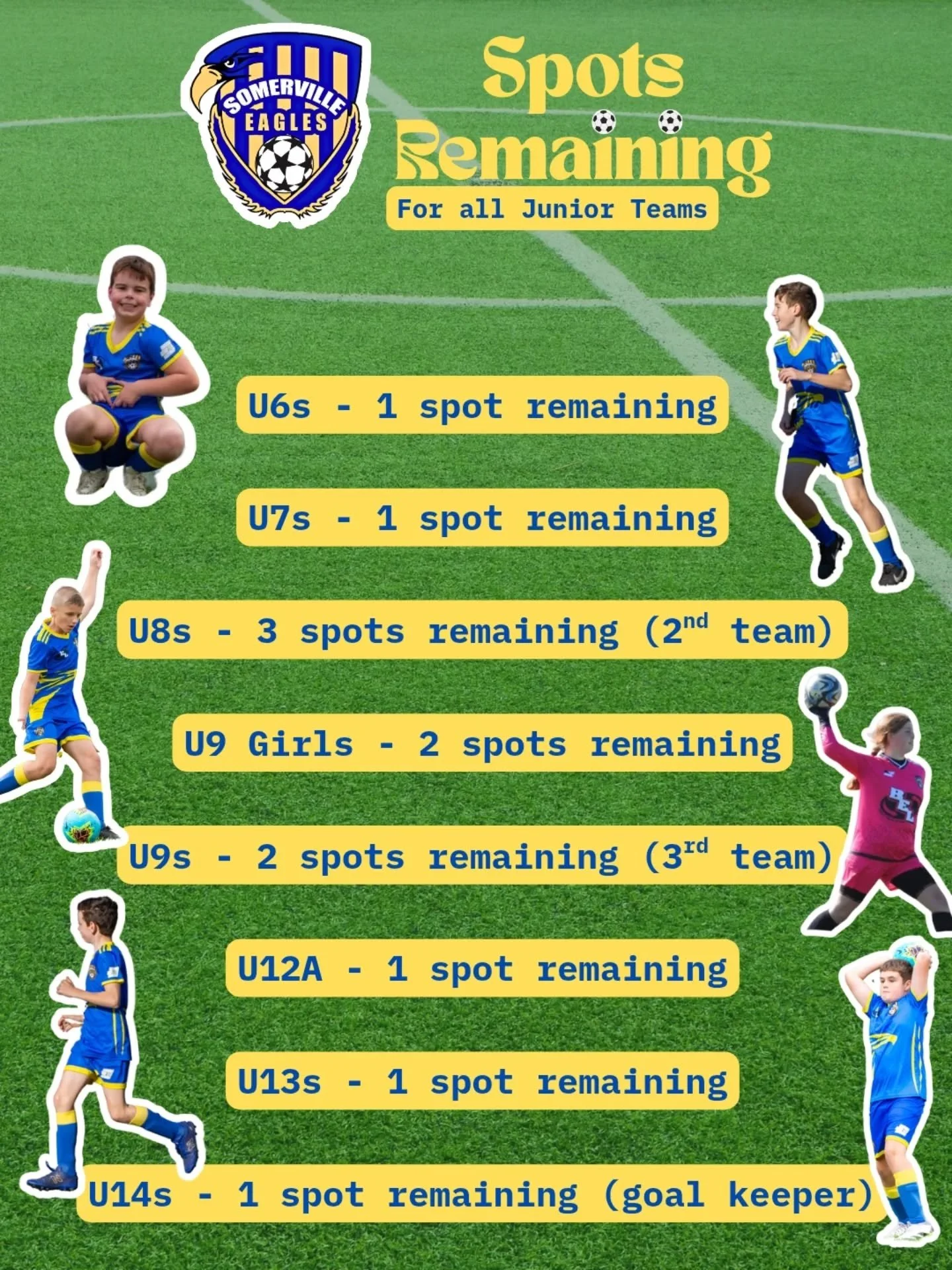Our Junior teams are almost all full! Limited spots remain so don't miss out. 

We're looking for 3 new under 8 players and 2 new under 9 players to get more teams up for this year! We're also on the hunt for an under 14s goal keeper.

Finally, a spo