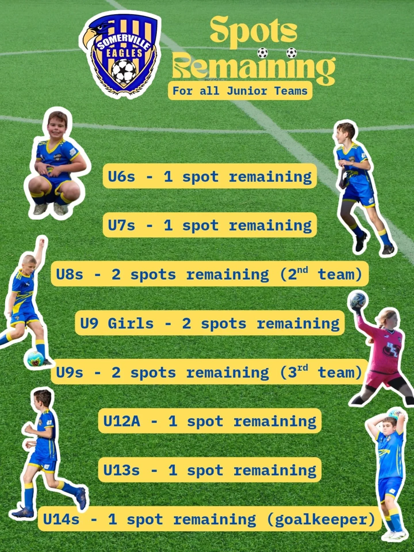Our Junior teams are almost all full! Limited spots remain so don't miss out. 

We're looking for 2 new under 8 players and 2 new under 9 players to get more teams up for this year! We're also on the hunt for an under 14s goal keeper.

Finally, a spo