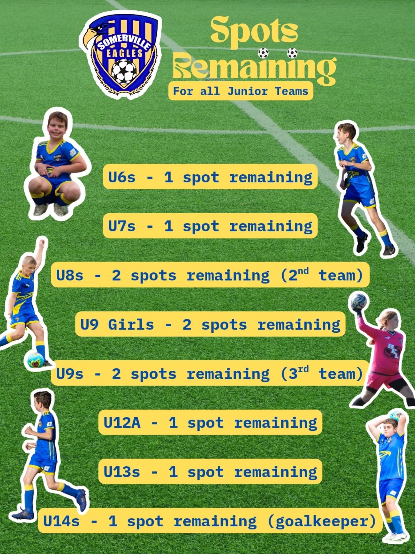Our Junior teams are almost all full! Limited spots remain so don't miss out. 

We're looking for 2 new under 8 players and 2 new under 9 players to get more teams up for this year! We're also on the hunt for an under 14s goalkeeper.

Finally, a spot