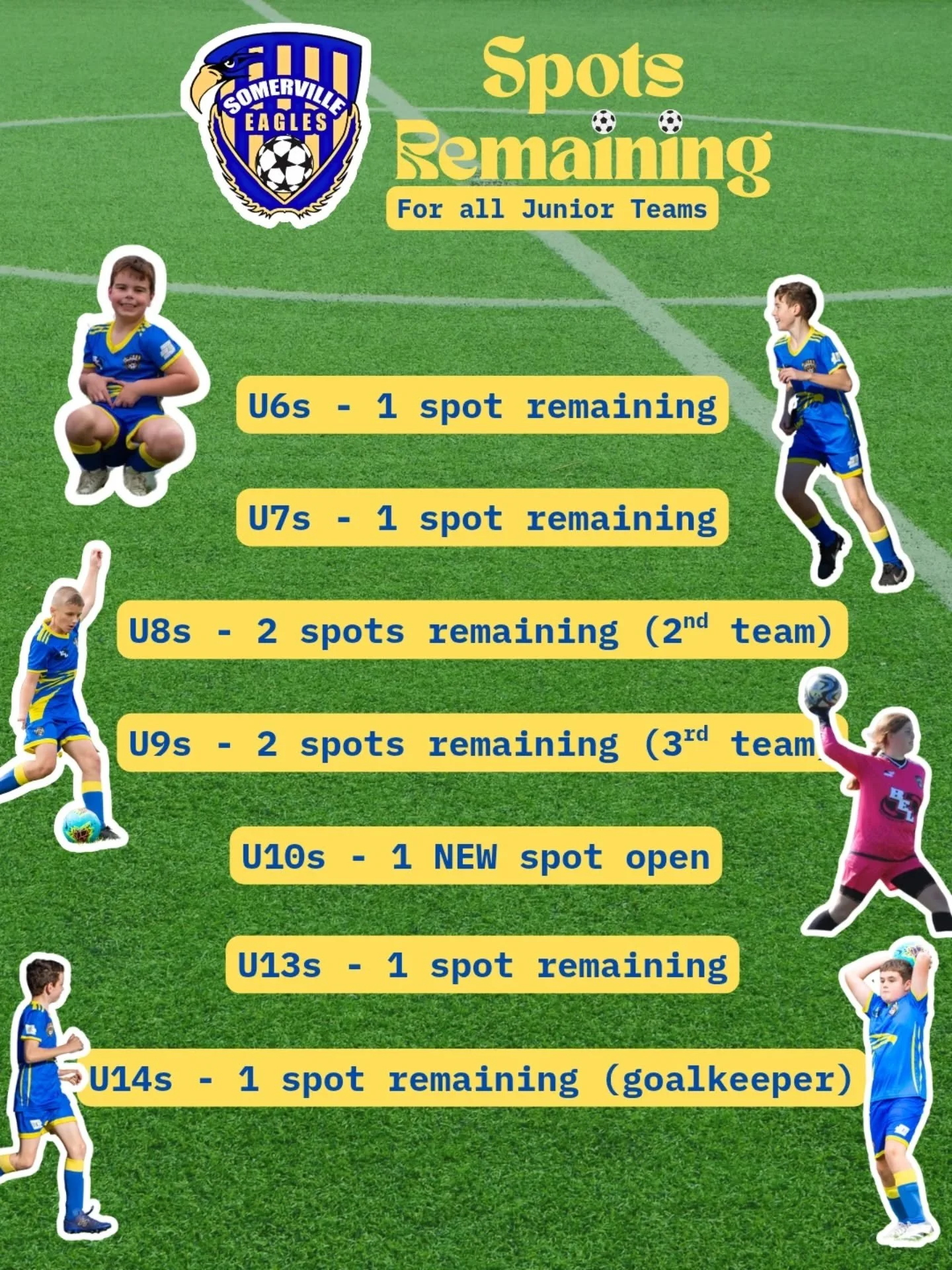 Our Junior teams are almost all full! Limited spots remain so don't miss out. 

A new spot has opened up in our under 10s squad. Don't miss your chance to join!

For any enquires about joining a team, contact Craig at junior@sesc.com.au.

#sesc 🦅