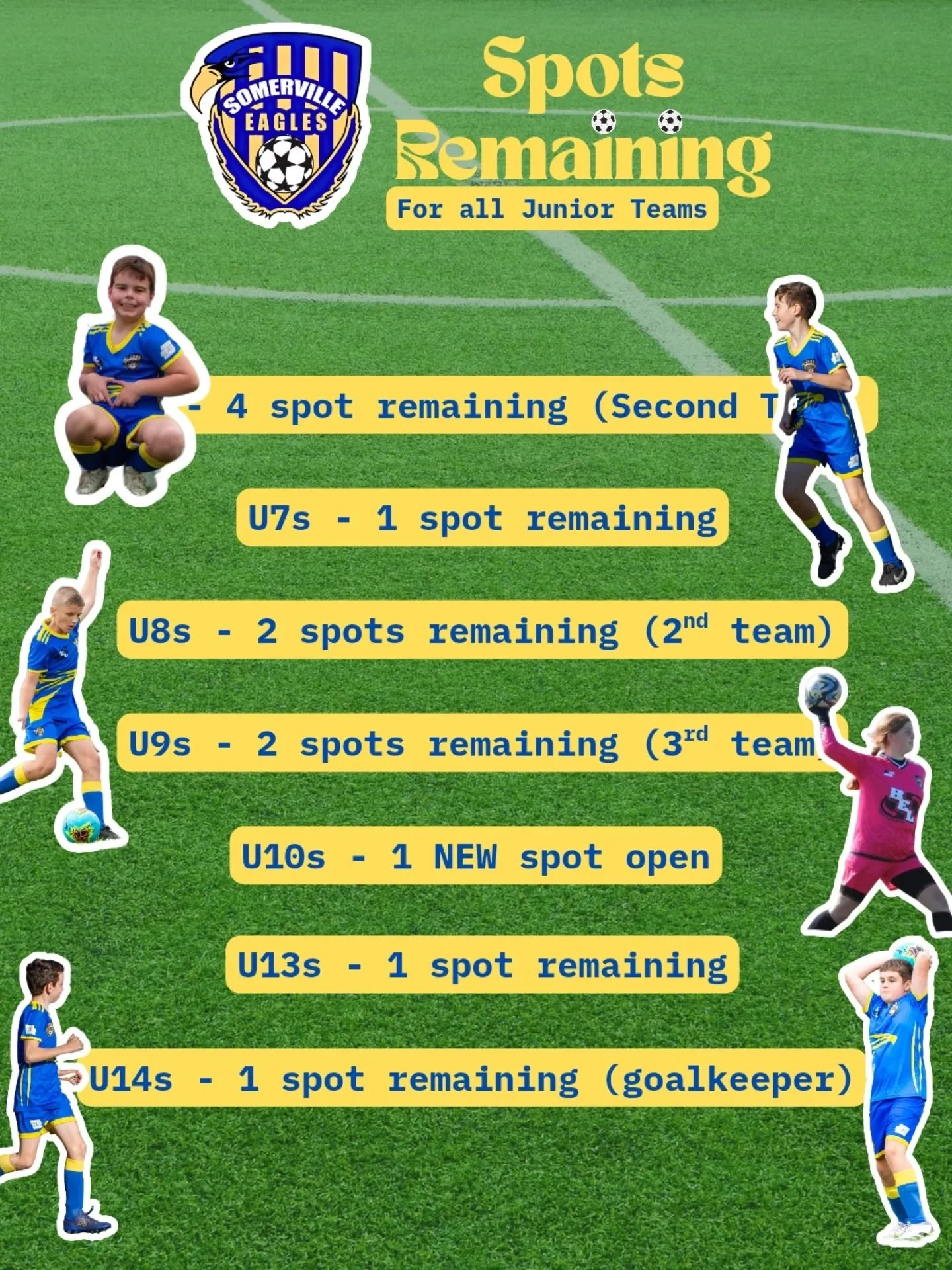 Our Junior teams are almost all full! Limited spots remain so don't miss out. 

We are seeking 4 new under 6 players to join a second team this year! The season is super close, don't miss out!

For any enquires about joining a team, contact Craig at 