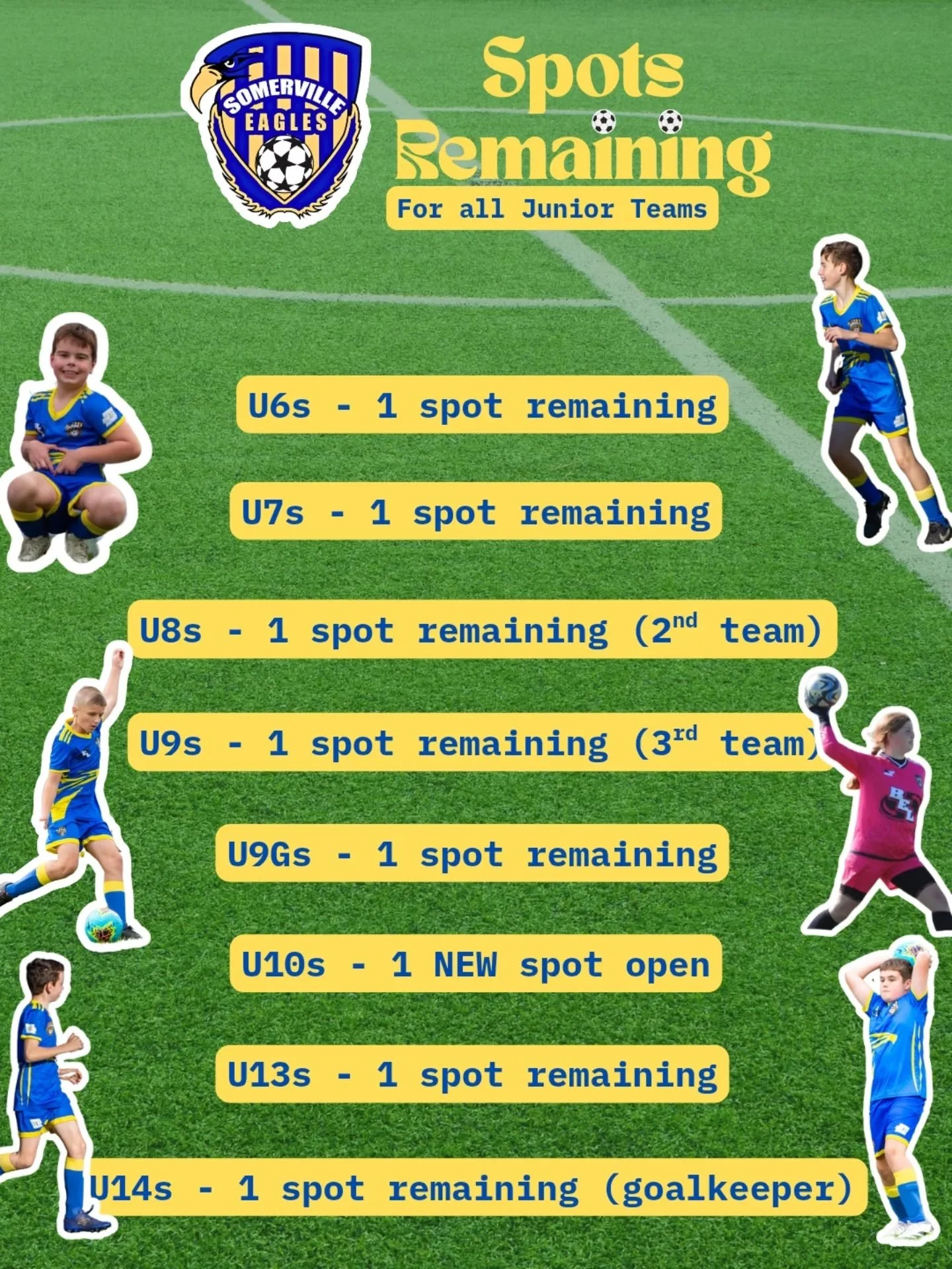 Final spots in our junior teams! Season has kicked off, don't regret not joining by following the link in our bio! 

For any enquires about joining a team, contact Craig at junior@sesc.com.au. 

#sesc 🦅