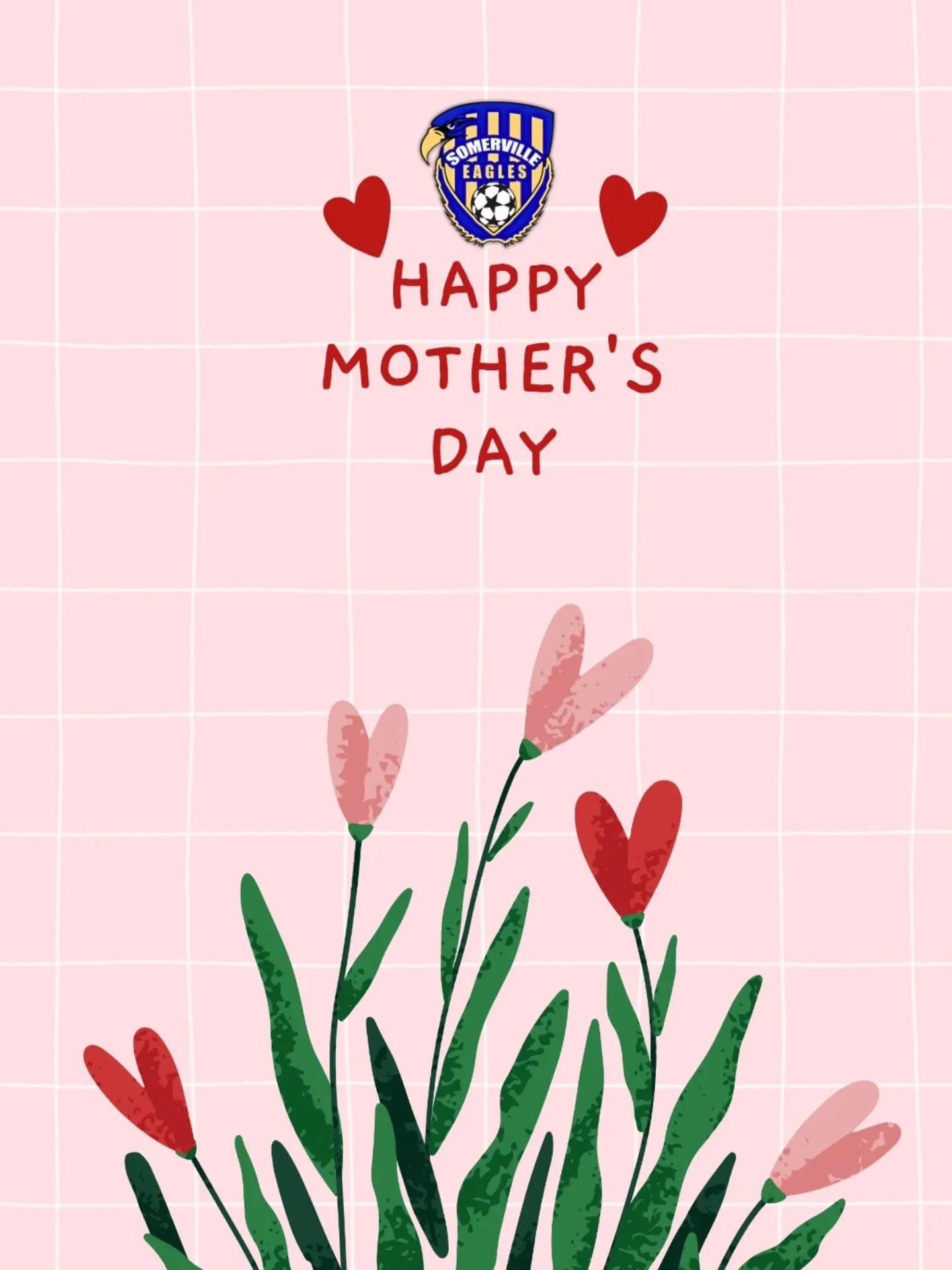 For those who give us everything.

Happy Mother's Day 💓 

#sesc 🦅