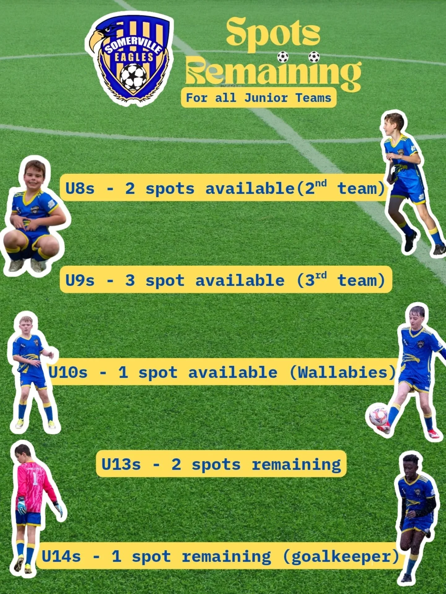 Final spots in our junior teams! Season has kicked off, don't regret not joining by following the link in our bio!

For any enquires about joining a team, contact Craig at junior@sesc.com.au.

#sesc 🦅