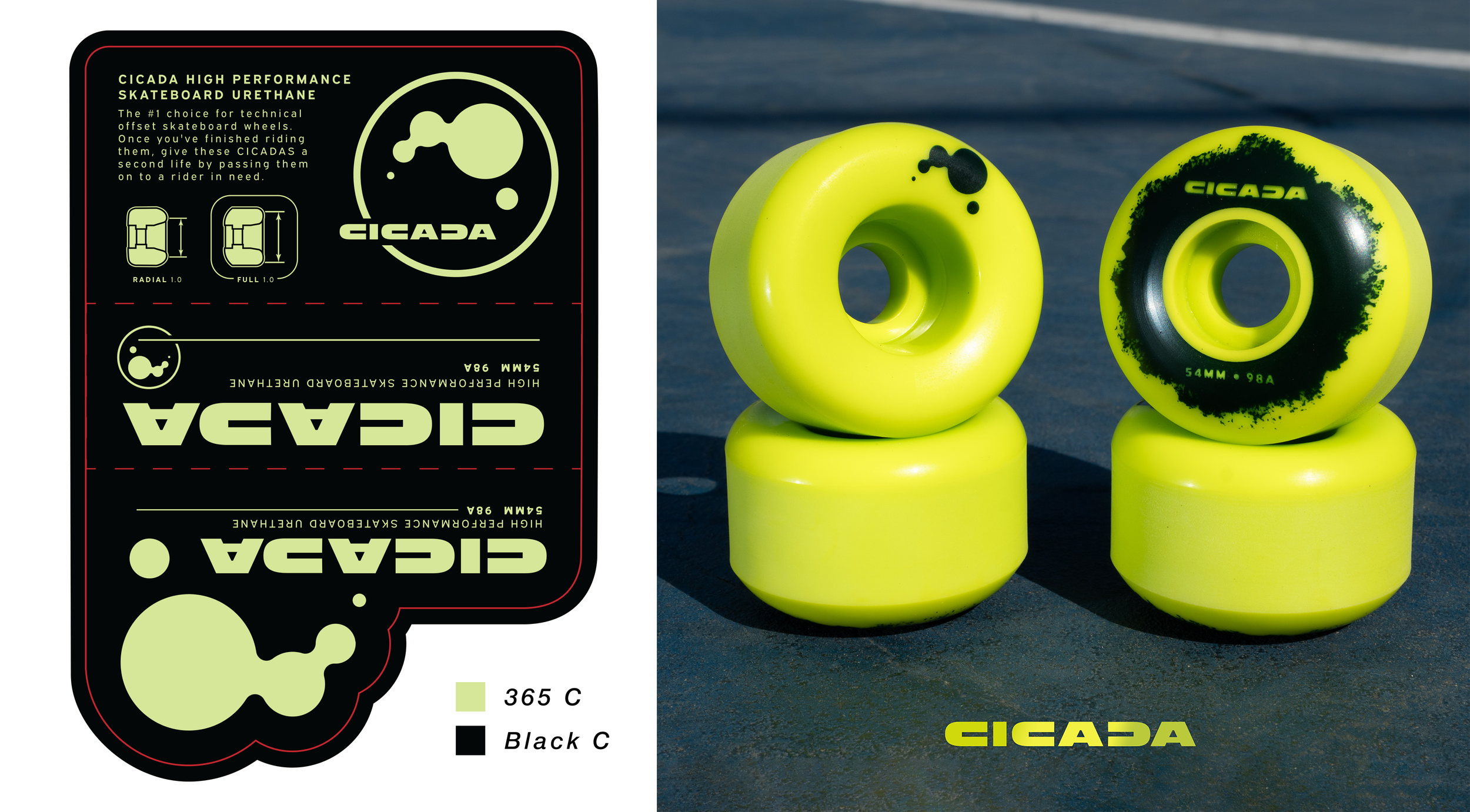 cicada mockups.png
