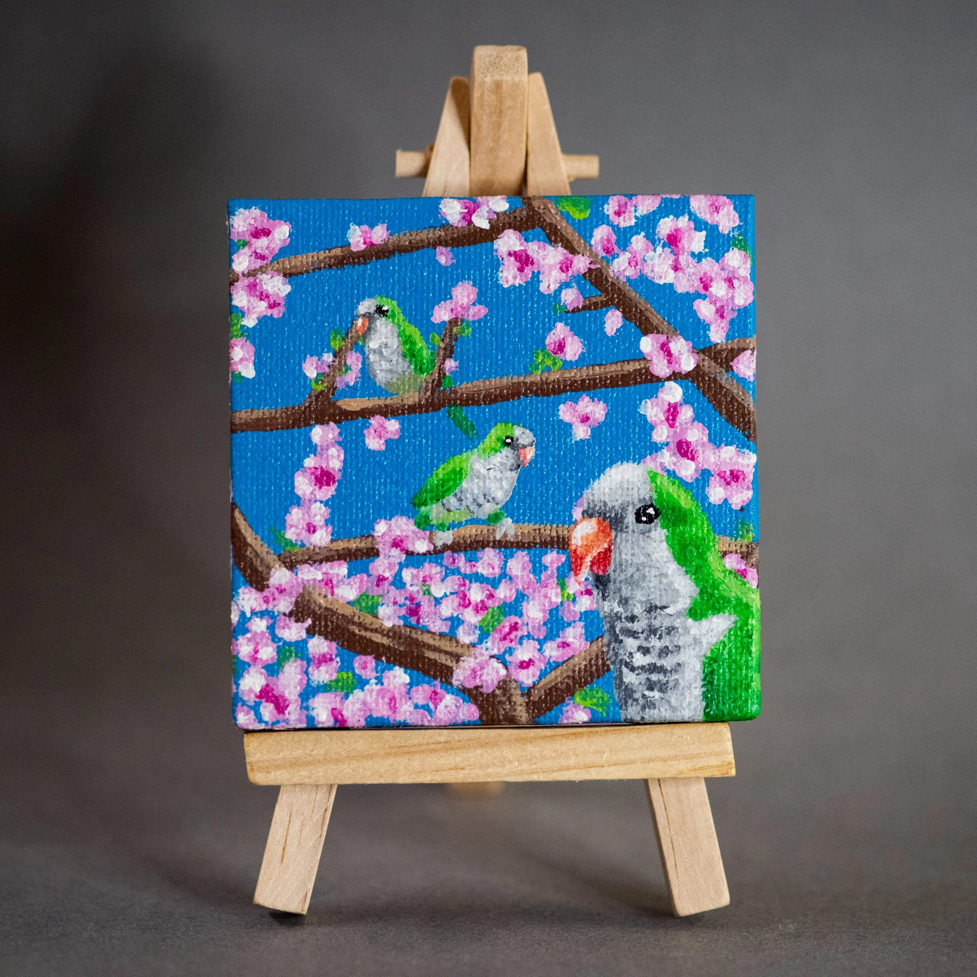 Flock in the Spring.jpg