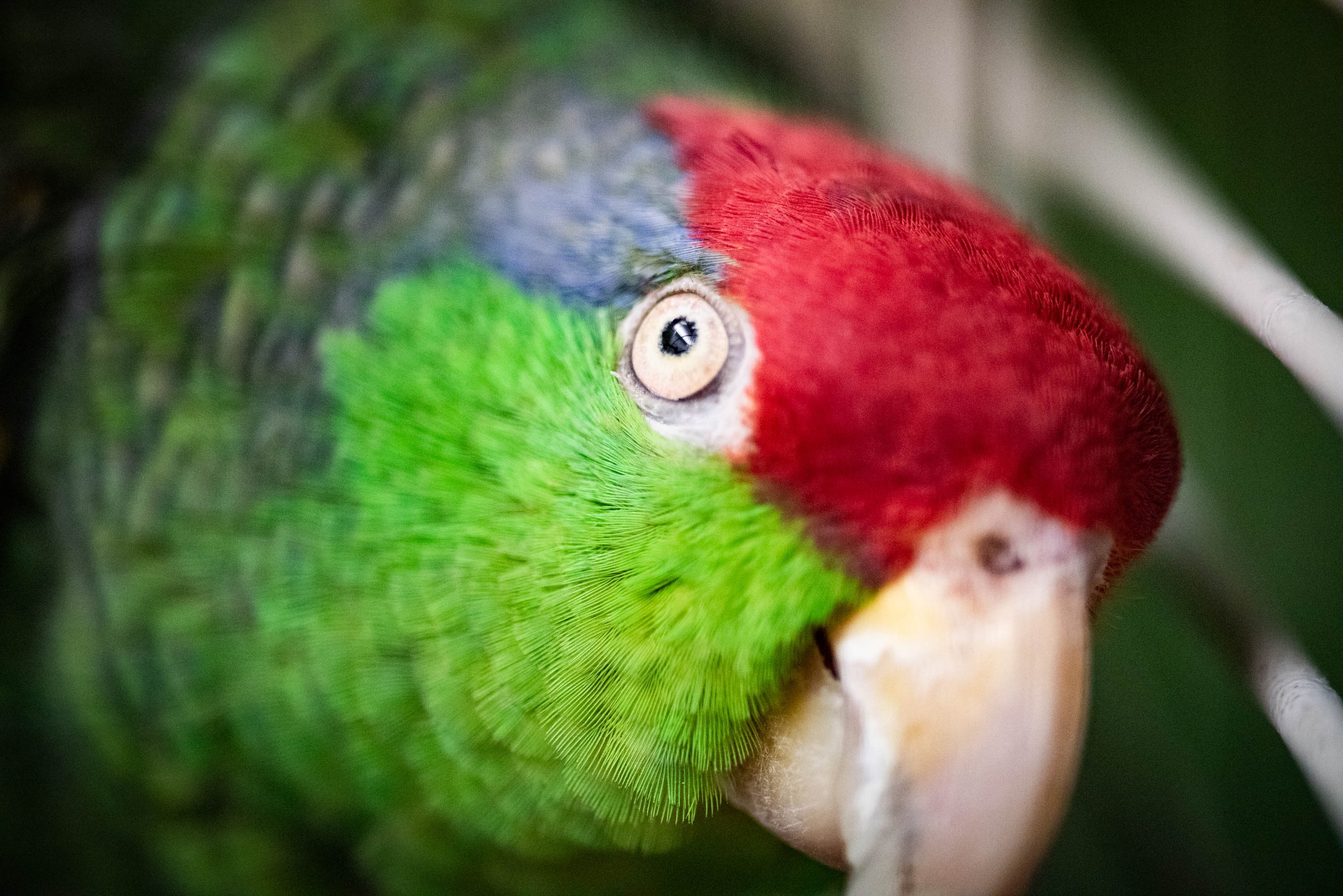 DSC_9371.jpg