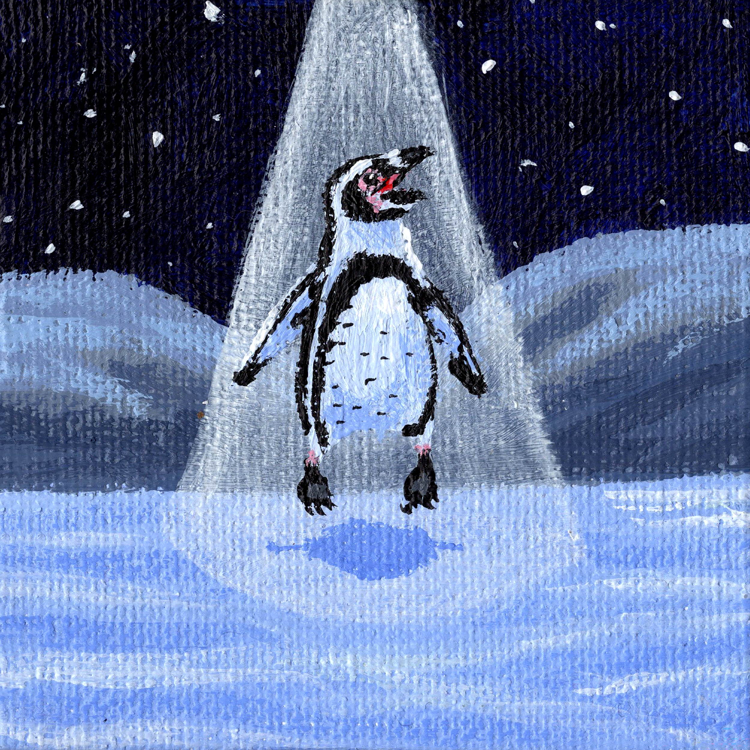 Humboldt Penguin Abduction.png