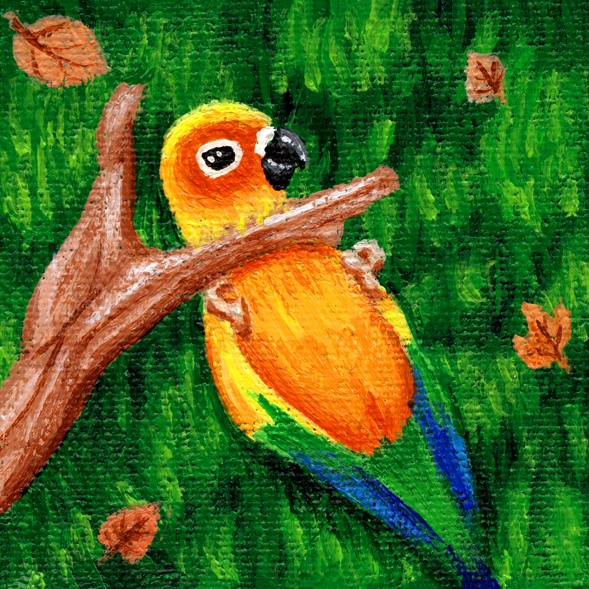 Sun Conure Trapped.png