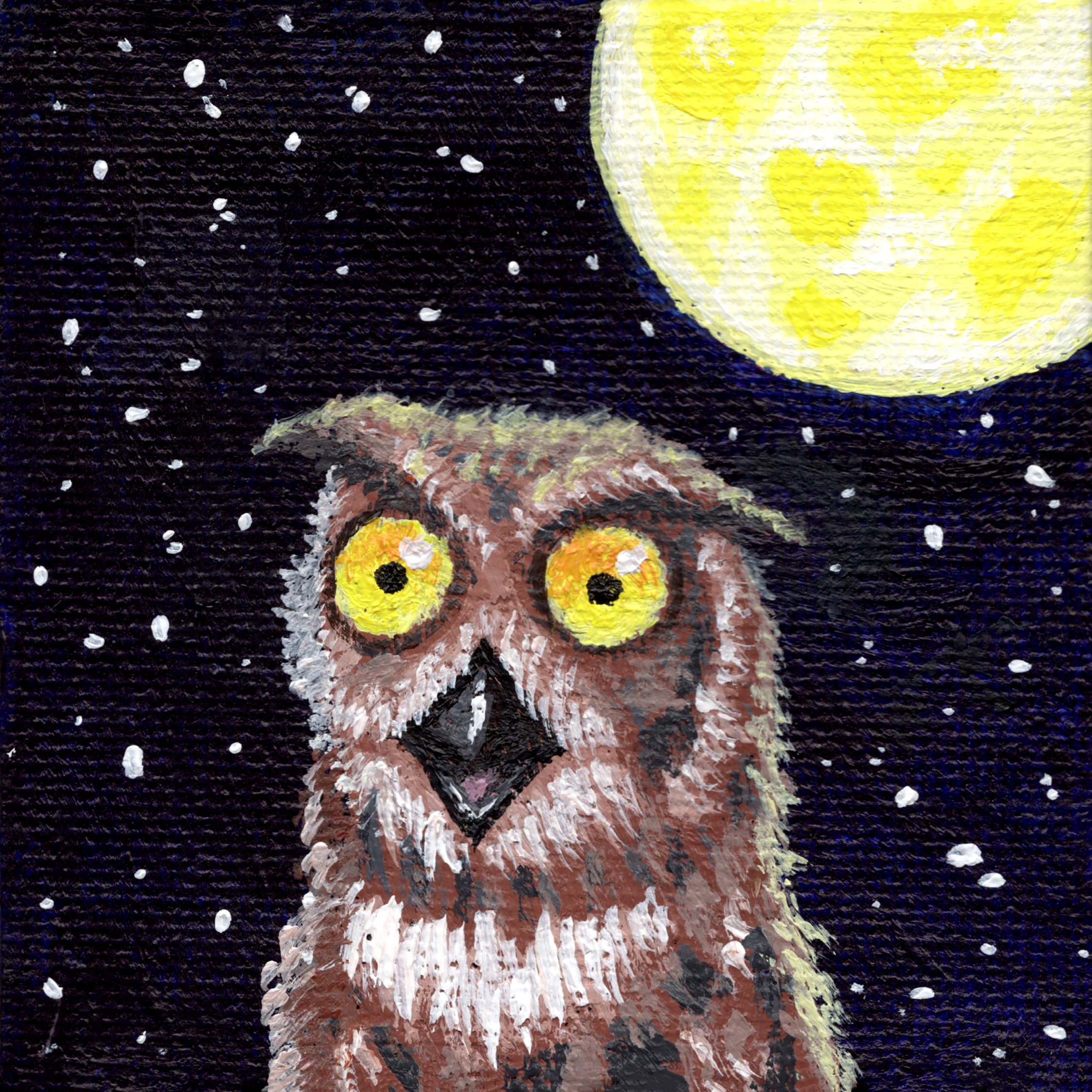 Bewildered Owl.png