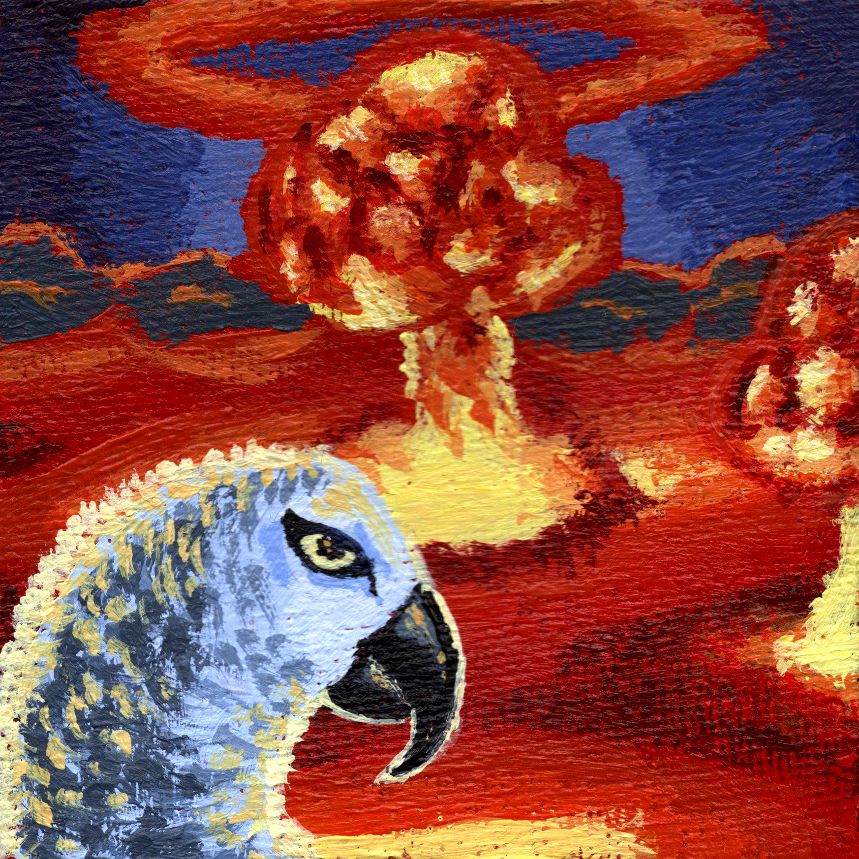 Nuke African Grey.png