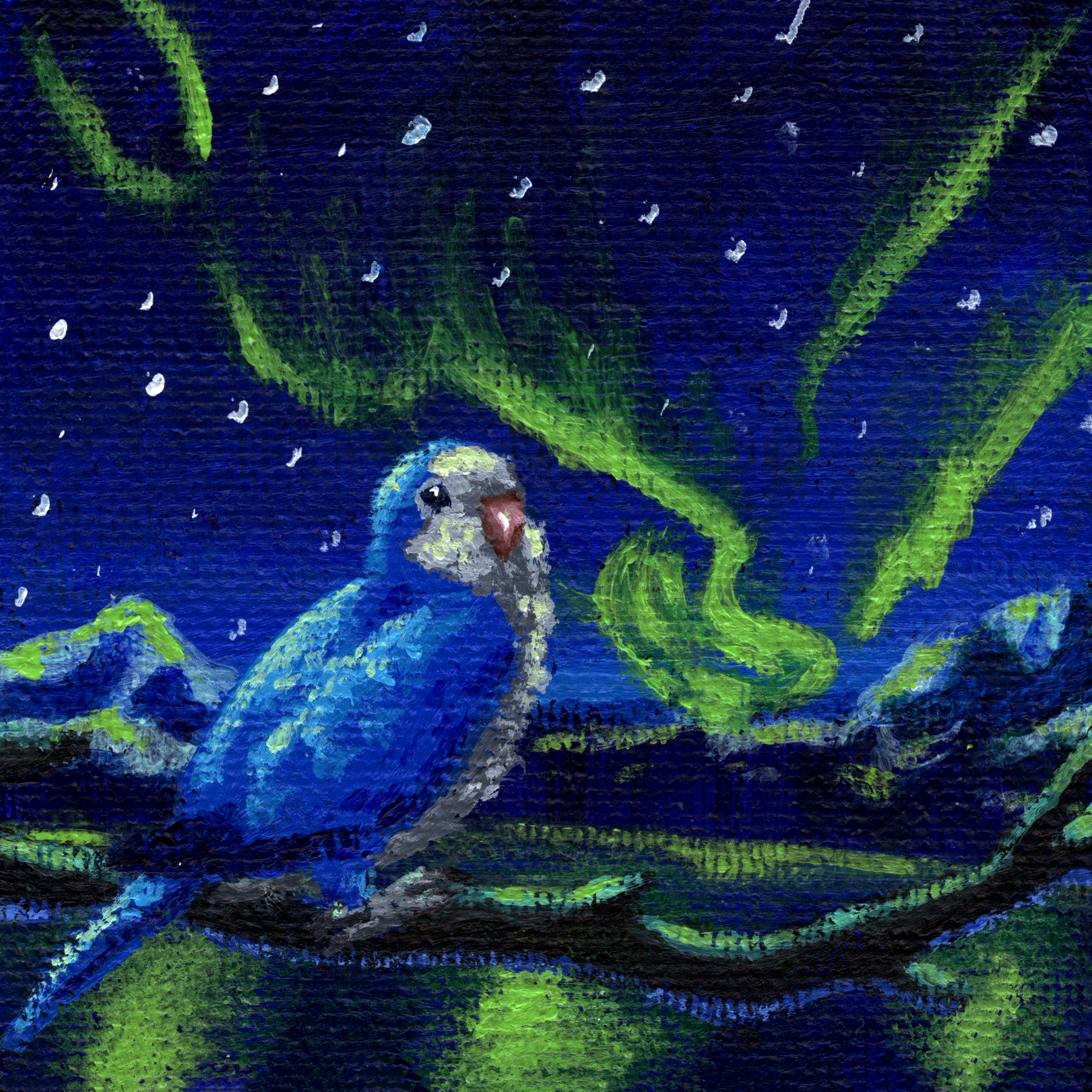Aurora Quaker.png