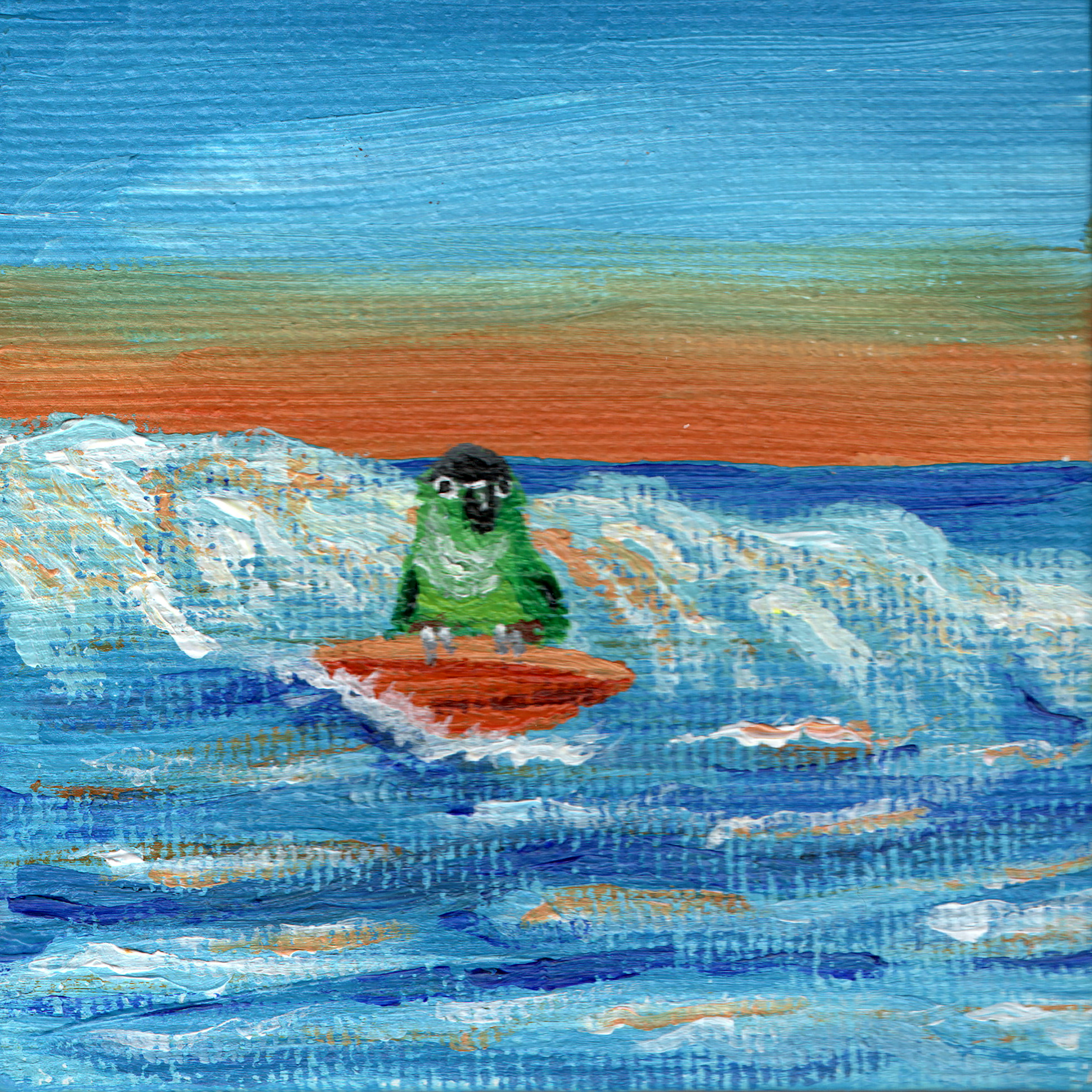 Green Cheek Conure Surfing.png