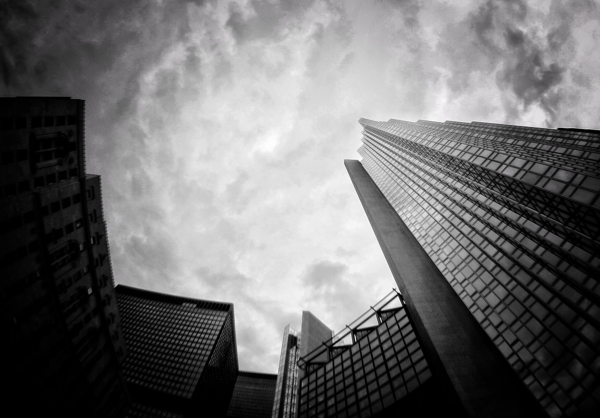 Toronto14.jpg