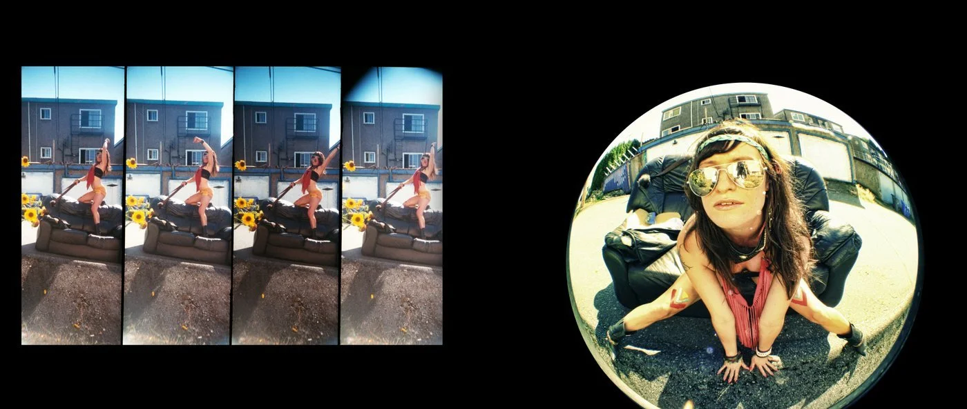 "Sun Flower Stallioness", 2011, Digital and Toy Film 35mm Photograph/ 11"X26"