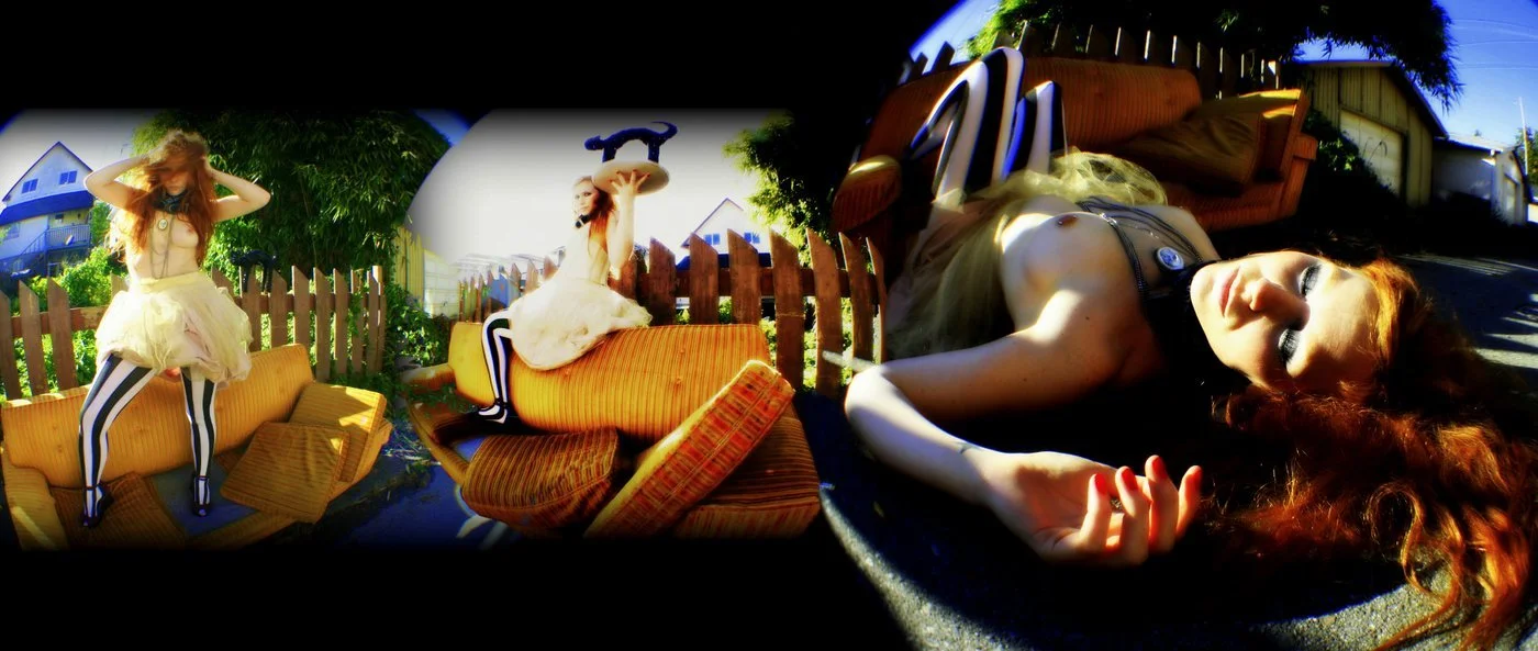 "Felinicus Revericus", 2011, Photograph/ 11"X26"