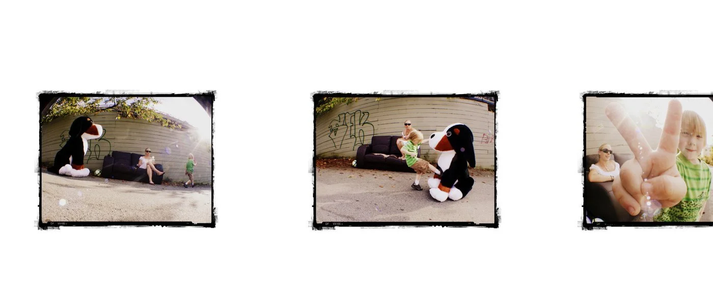 "Peace Puppy", 2011, Photograph/ 11"X26"