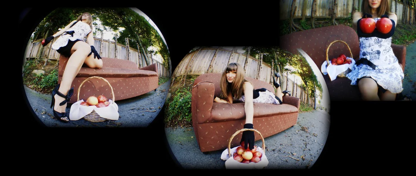 "Gravitational Connections", 2011, Photograph/ 11"X26"