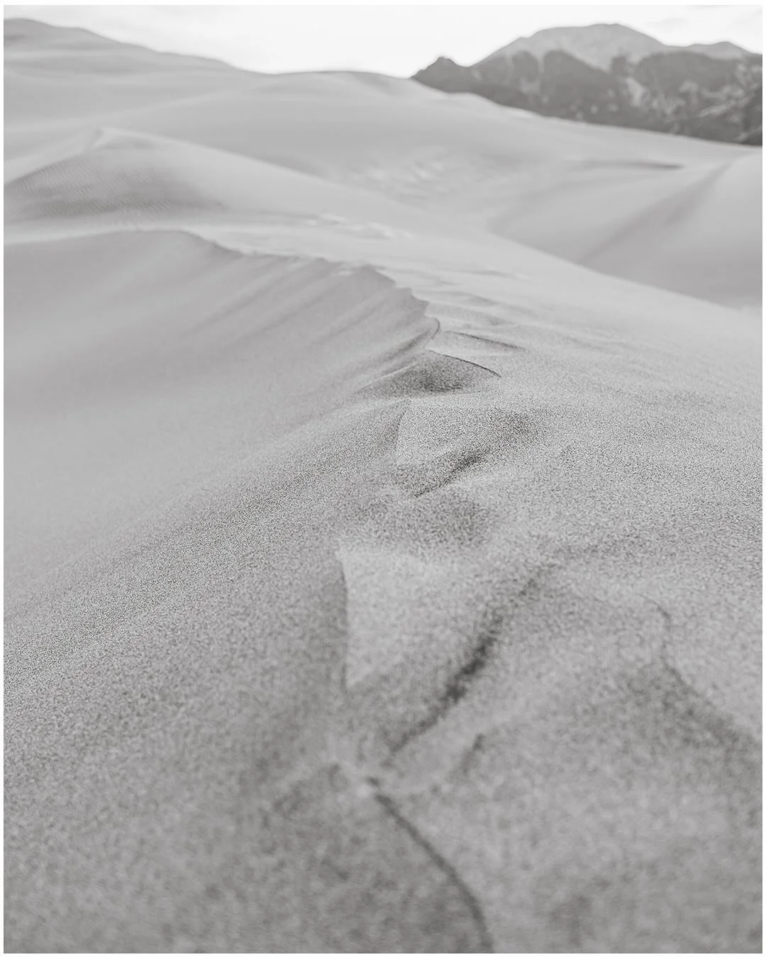 Great Sand Dunes National Park 
June 2025