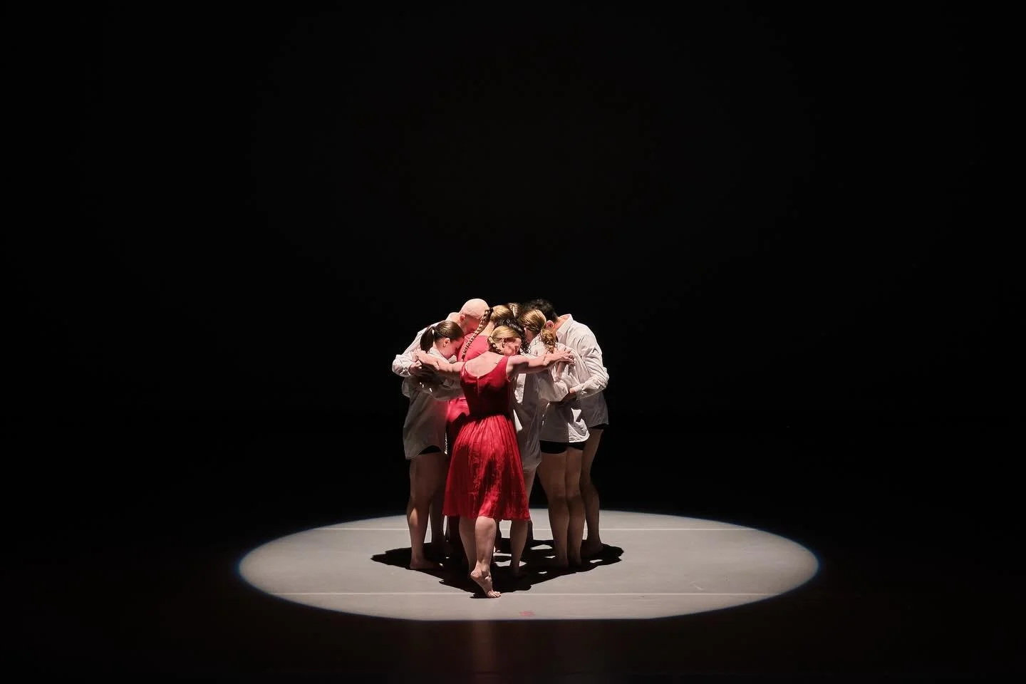 From my short and energizing few months dancing with @conderdance in Phoenix in 2025 

📸 @lightsviewphoto