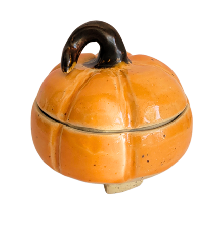 Pumkin Flycatcher 1.png