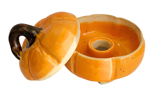 Pumpkin Flycatcher 2.png