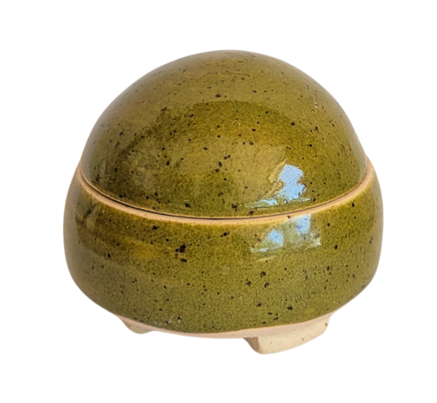 Speckled Green Flycatcher 2.png