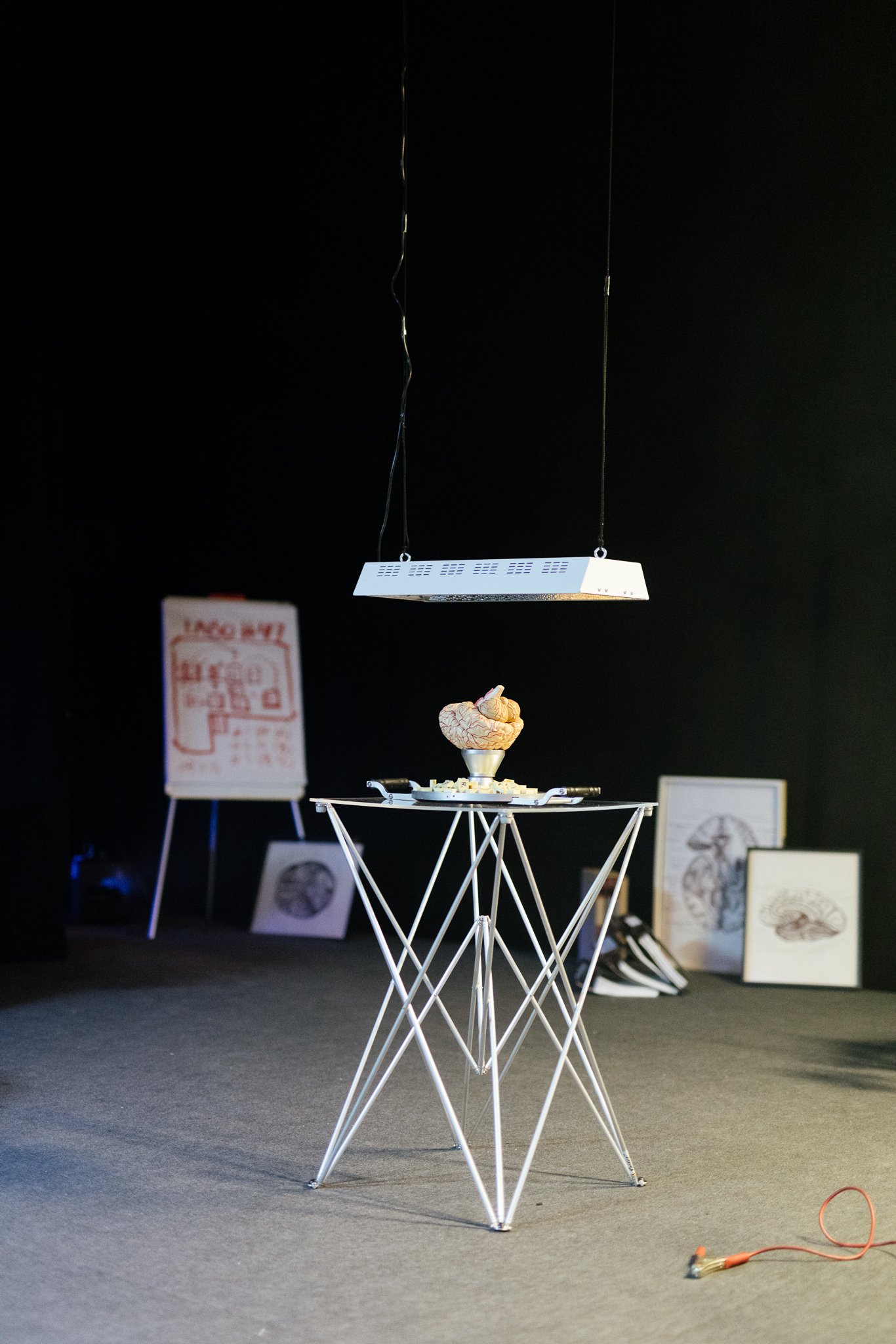 2025-02-02- Martin Pilette Prod - Louis Loriot- Web - 63.jpg