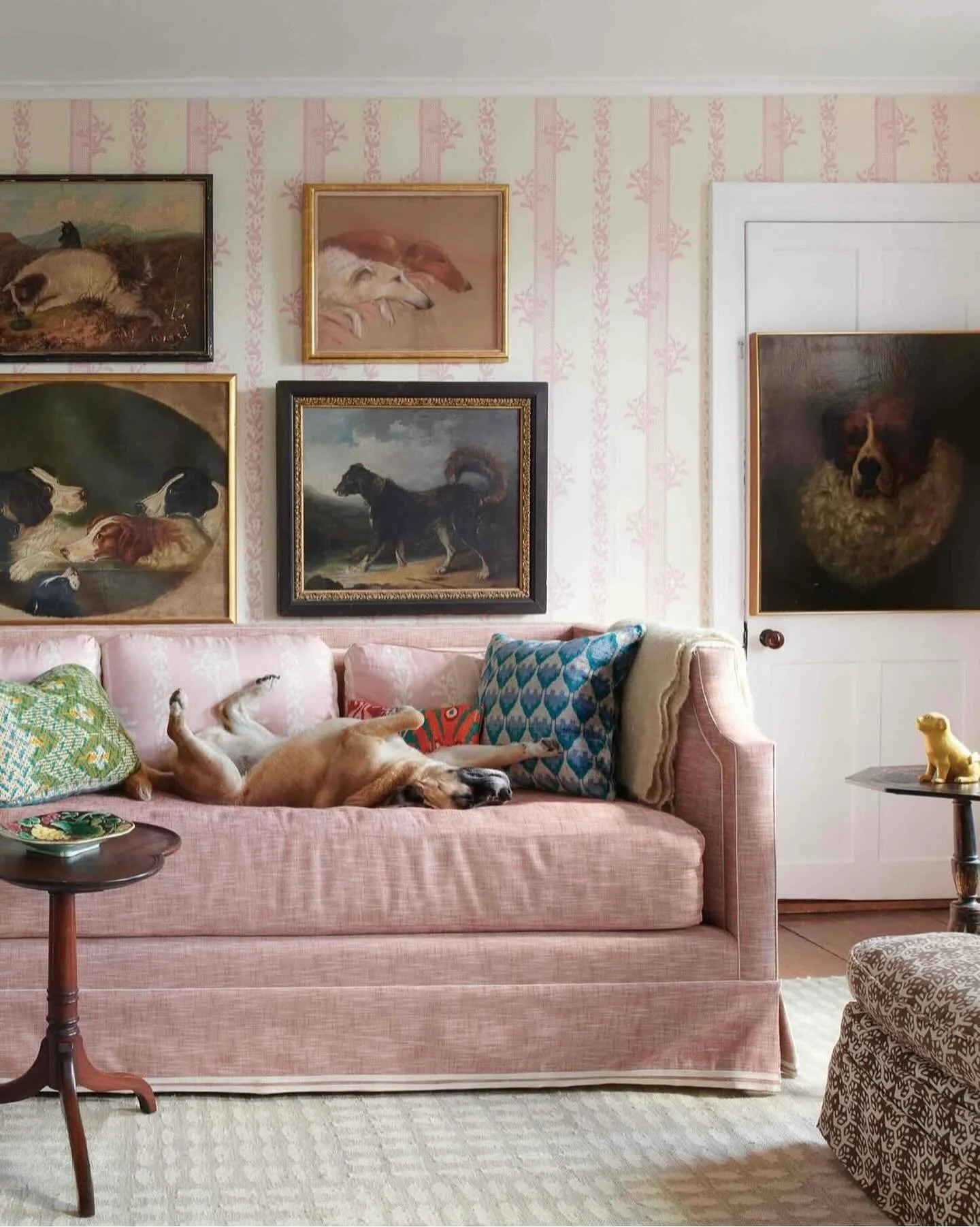 dream room 🐶🐶🐶🐶🐶