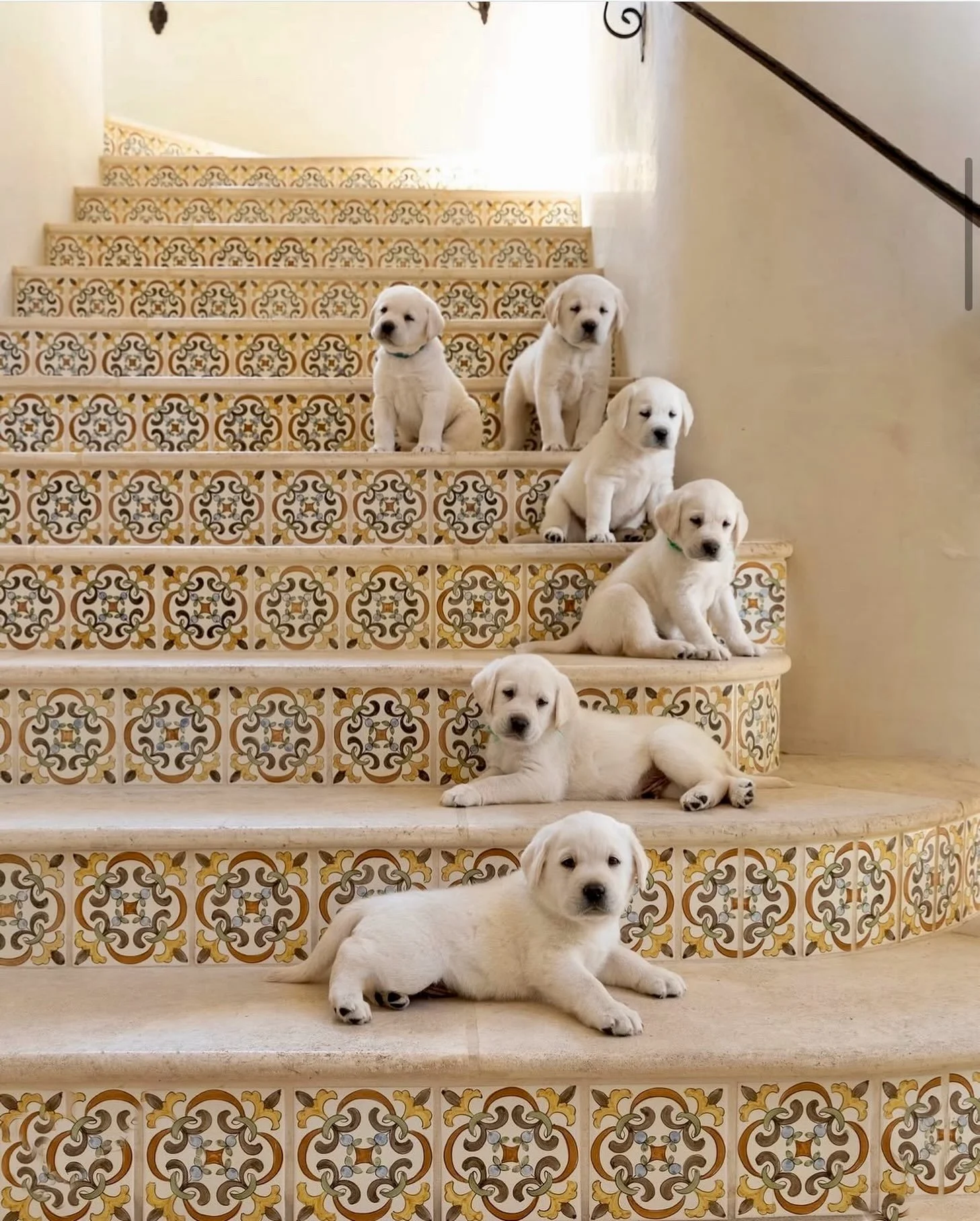 the perfect staircase doesn&rsquo;t exi&hellip;.
