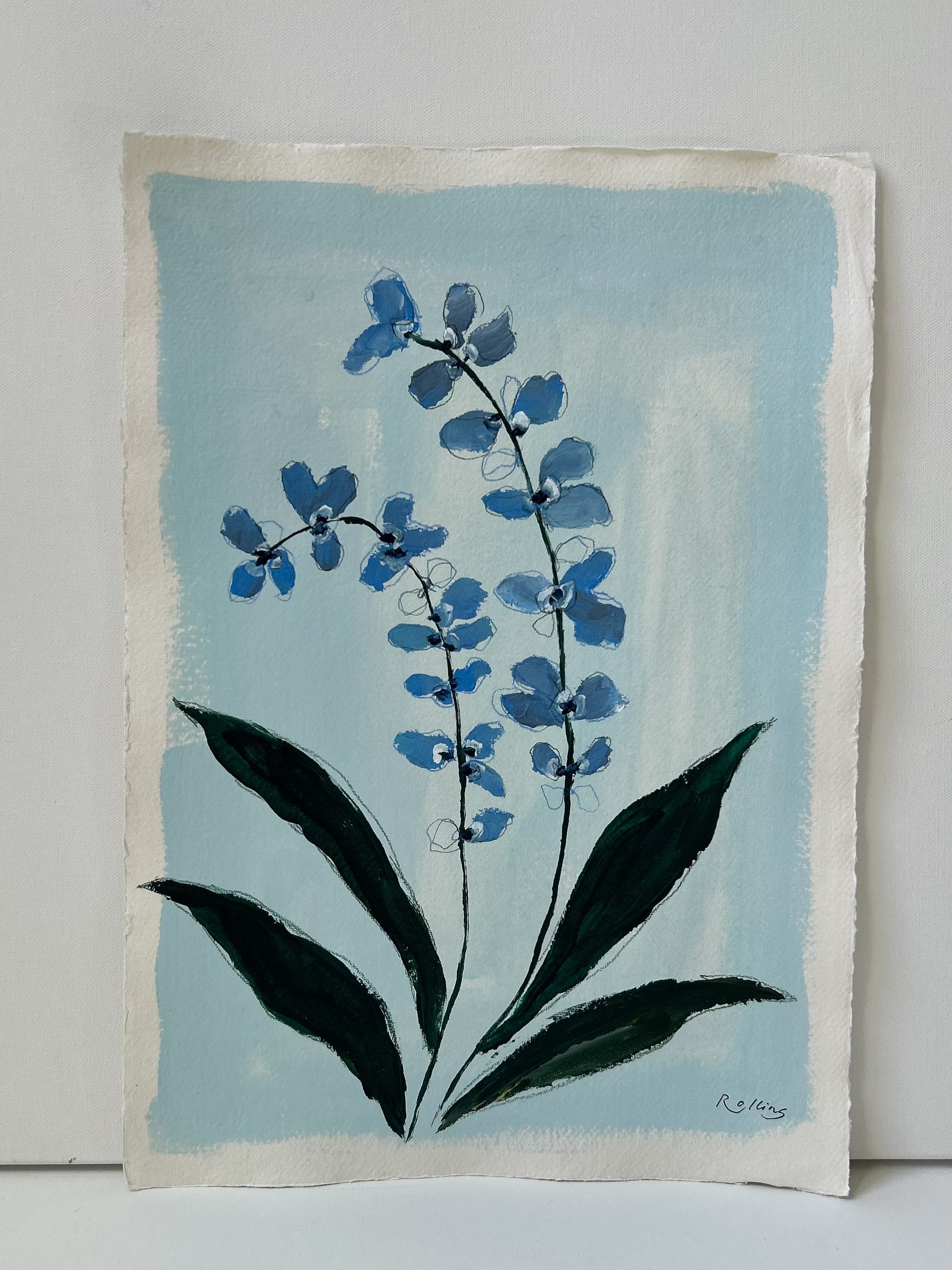 “blue blooms”