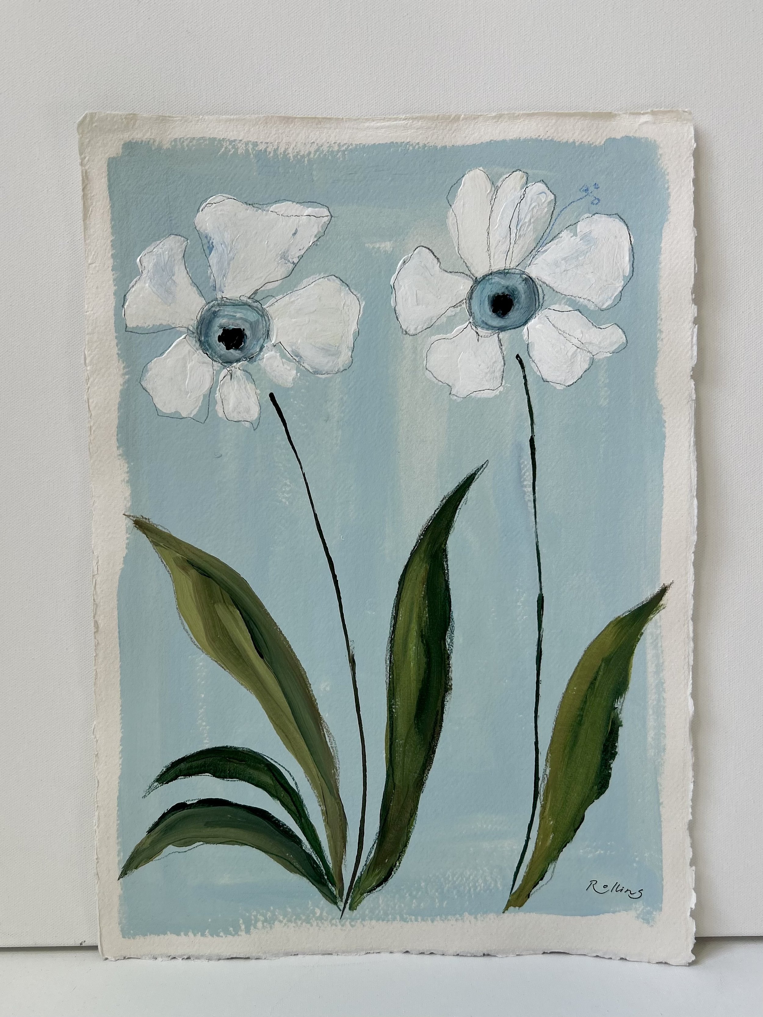 “baby blue blooms”