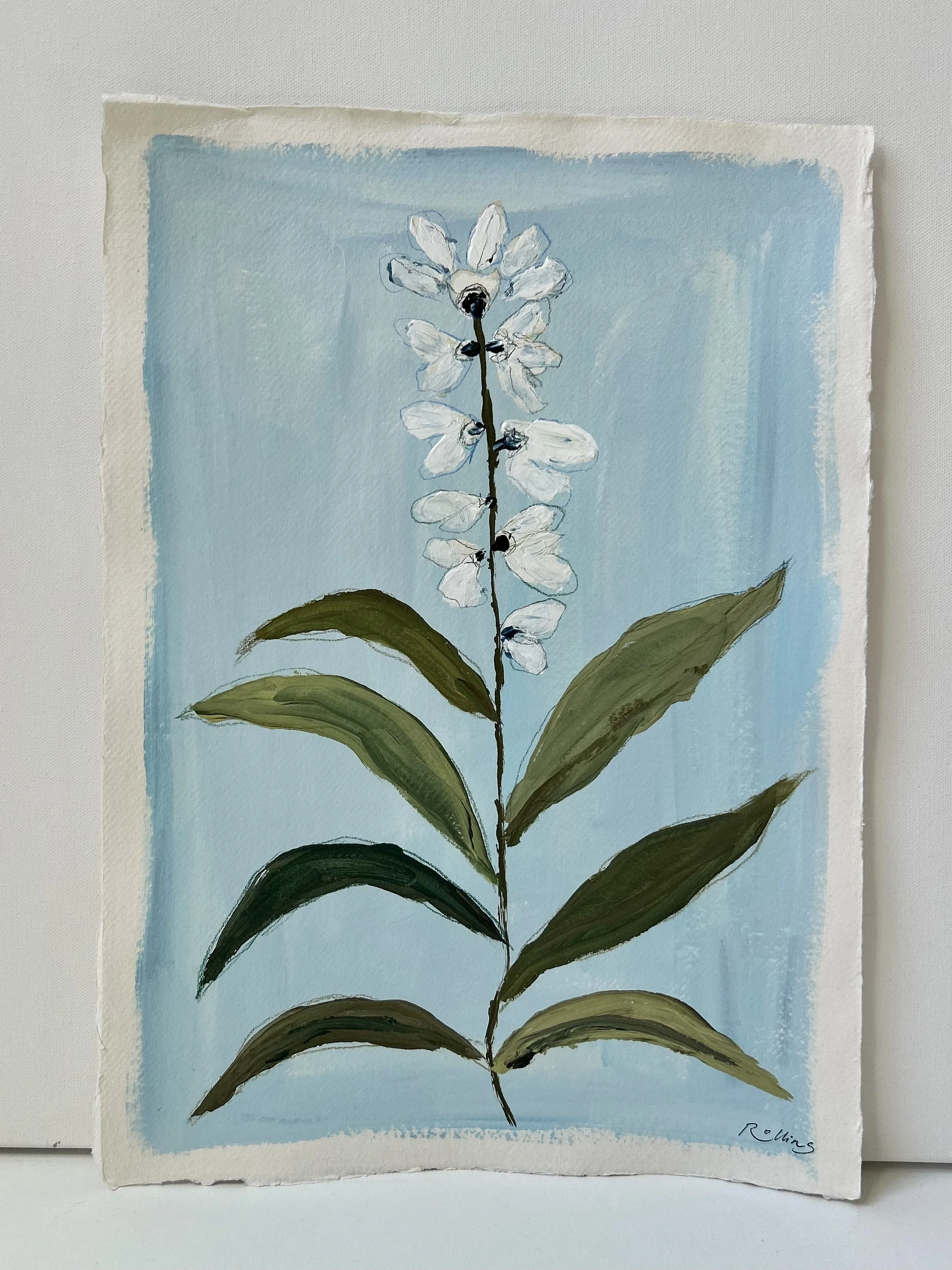 “blue sky blooms“