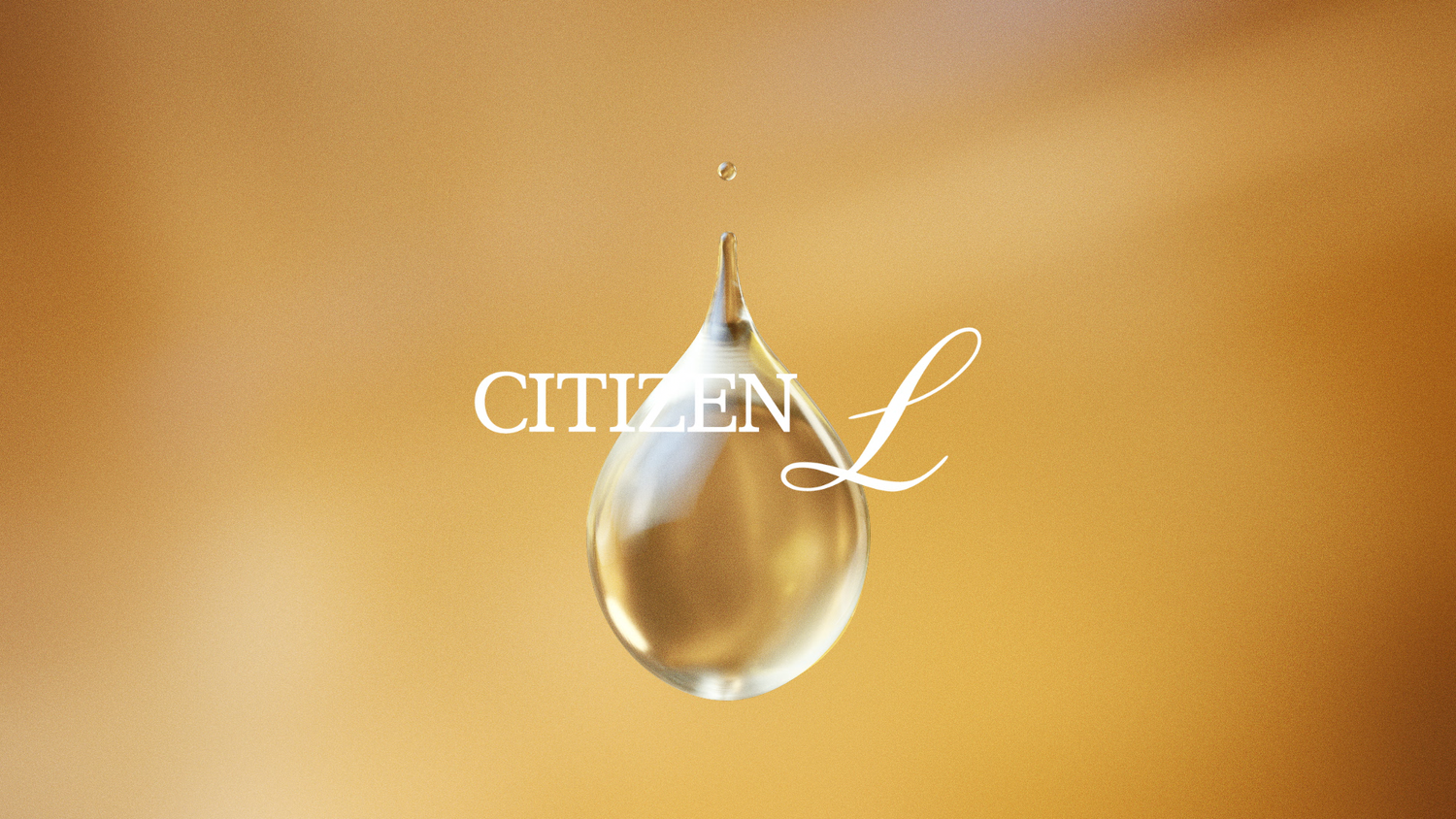 Citizen L — Web Ad by FACE inc.