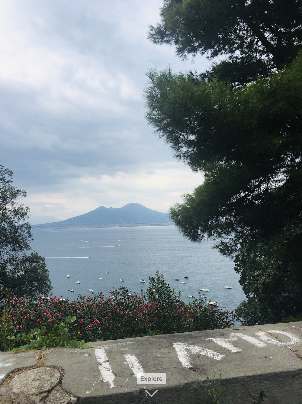 Screen Shot 2024-06-03 at 12.43.24 AM.png