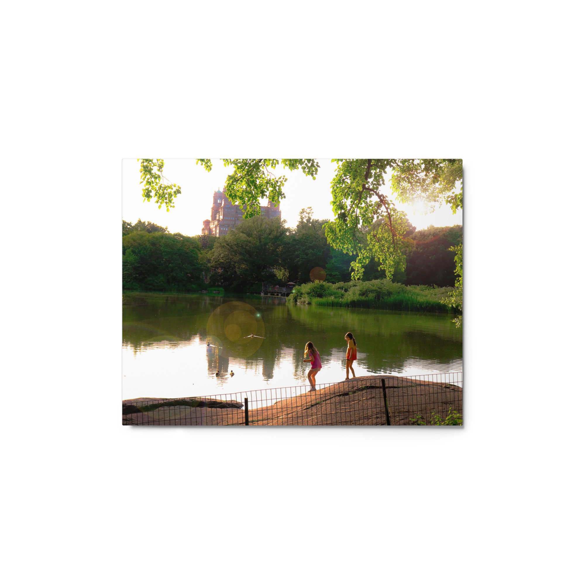 glossy-metal-print-(in)-white-11x14-front-65cc018c6e69c.jpg