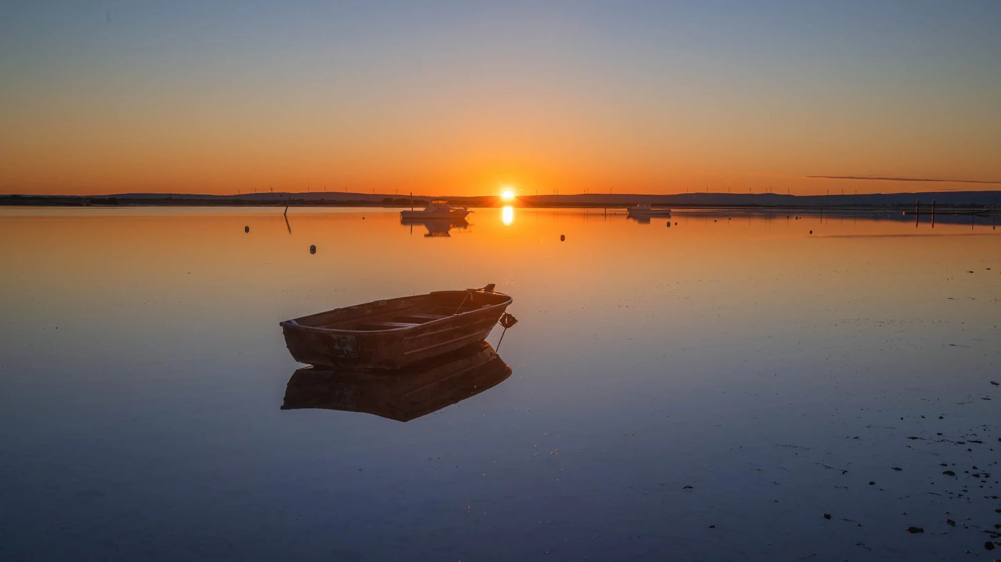 ECHO Sunset at the Bay.jpg