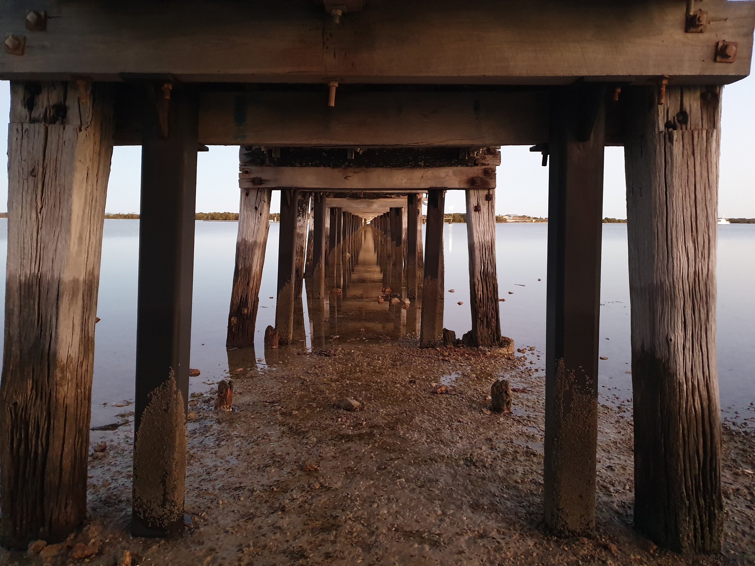 Under Jetty 20200708_070416 copy.jpg