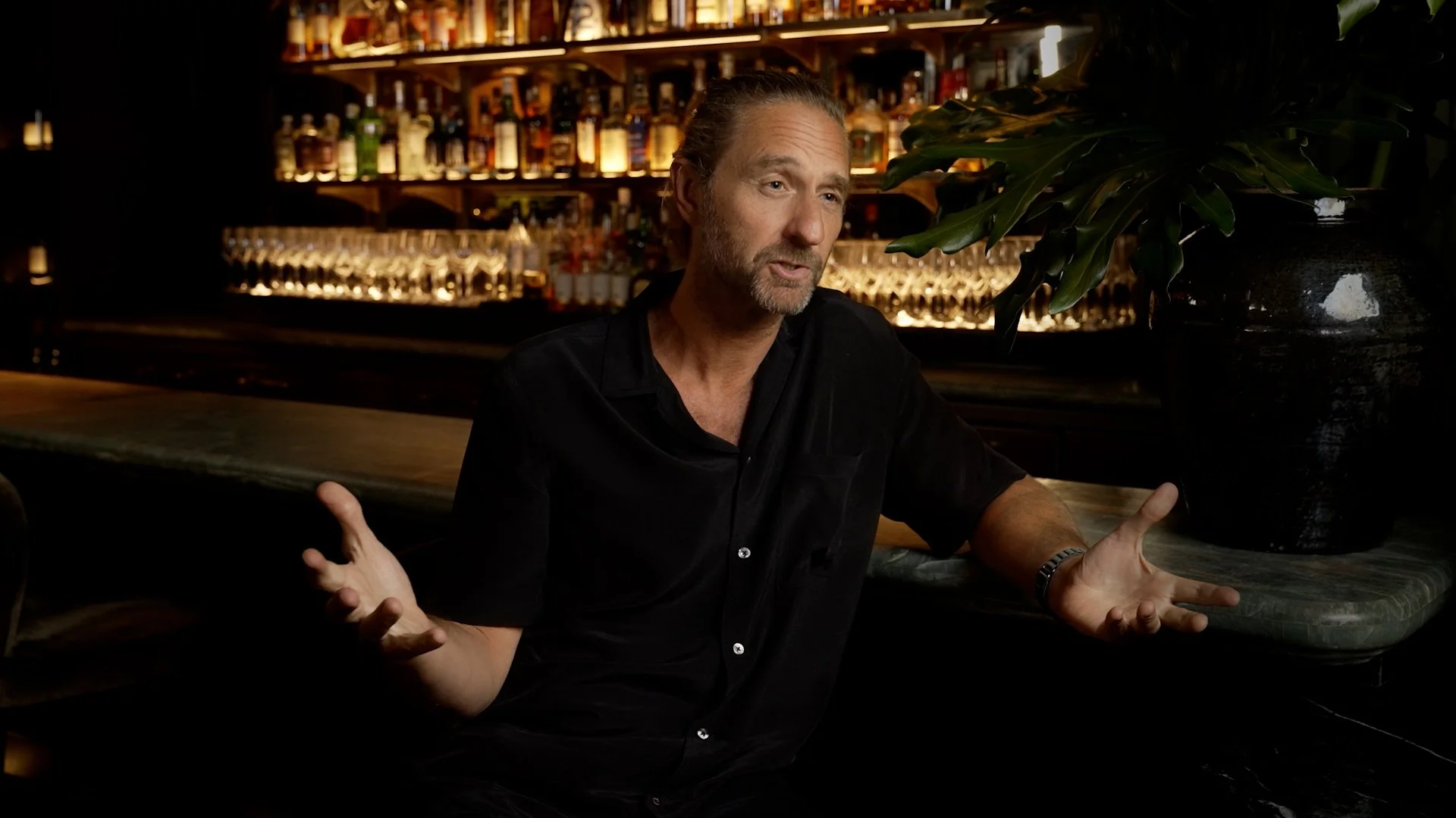 A middle-aged man with gray hair and beard, wearing a black shirt, sitting at a bar with his hands gesturing, in a dimly lit bar with shelves of liquor bottles and glasses in the background, and a large potted plant nearby.
