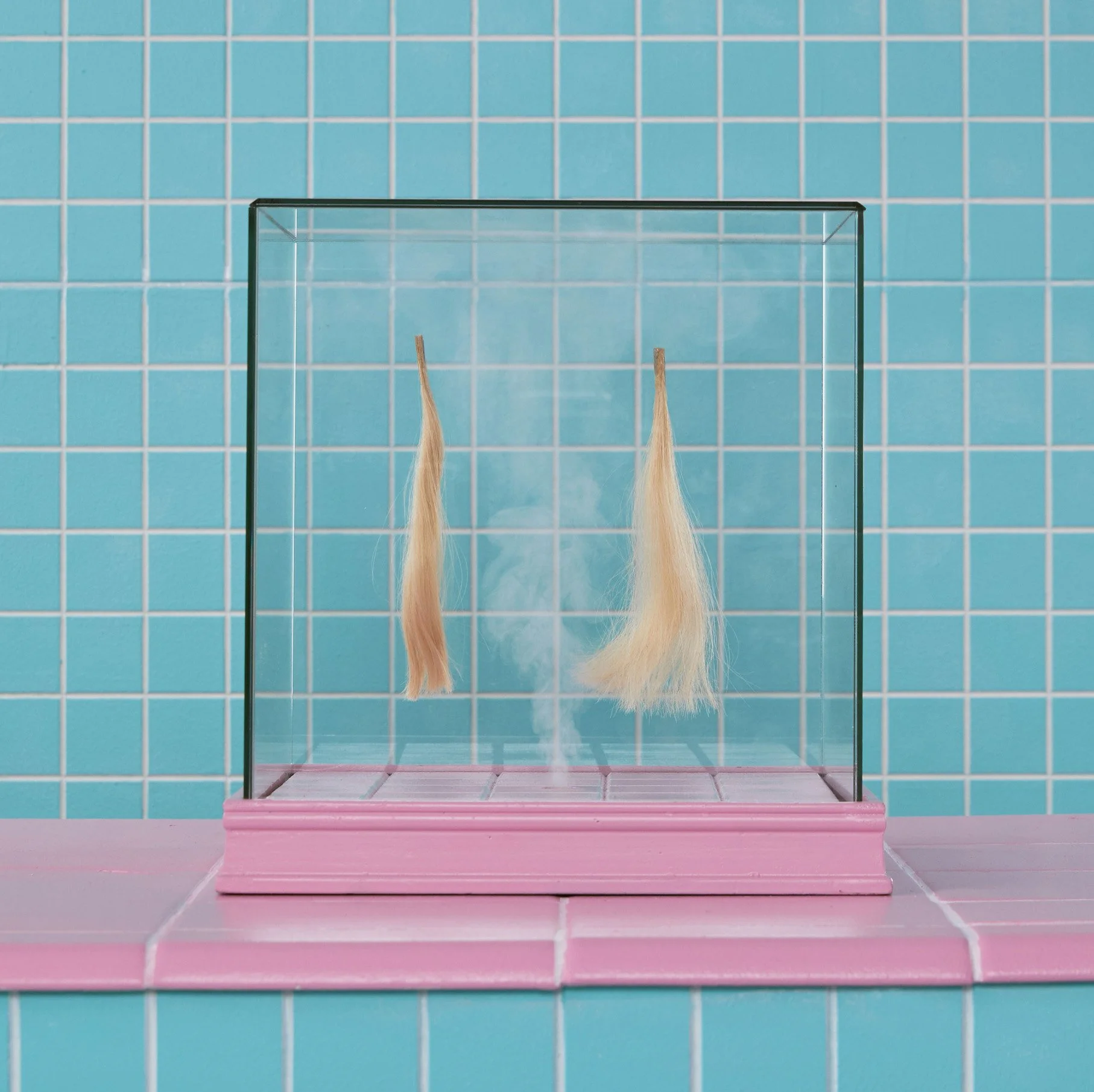 Screenshot 2026-02-07 at 5.38.25 PM.jpg