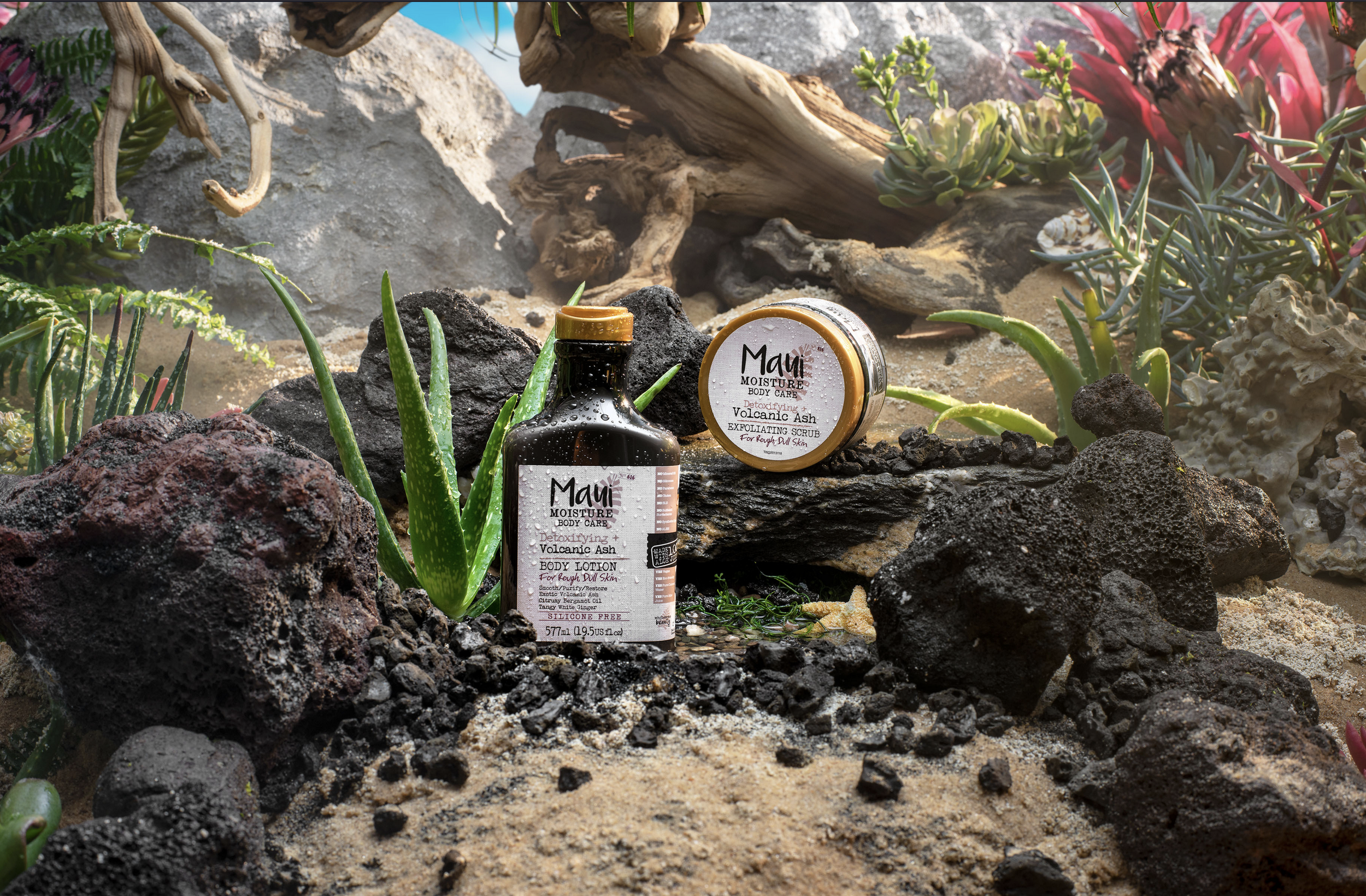 Screenshot 2026-02-21 at 4.27.23 PM.png