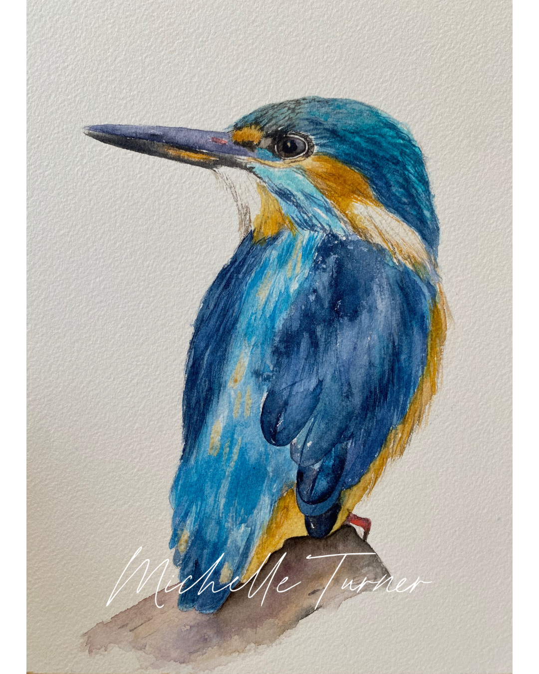 Fluttering Feathers | Yeppoon Edition