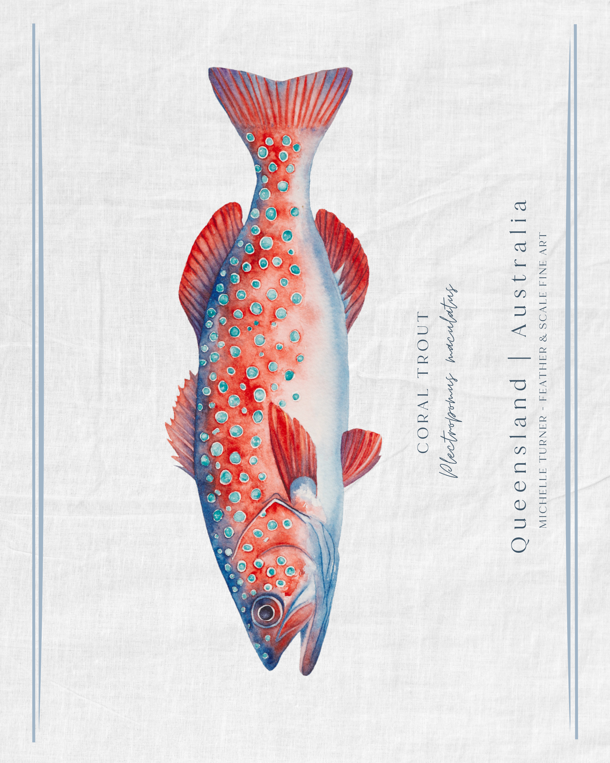 Tea Towel | Coral Trout