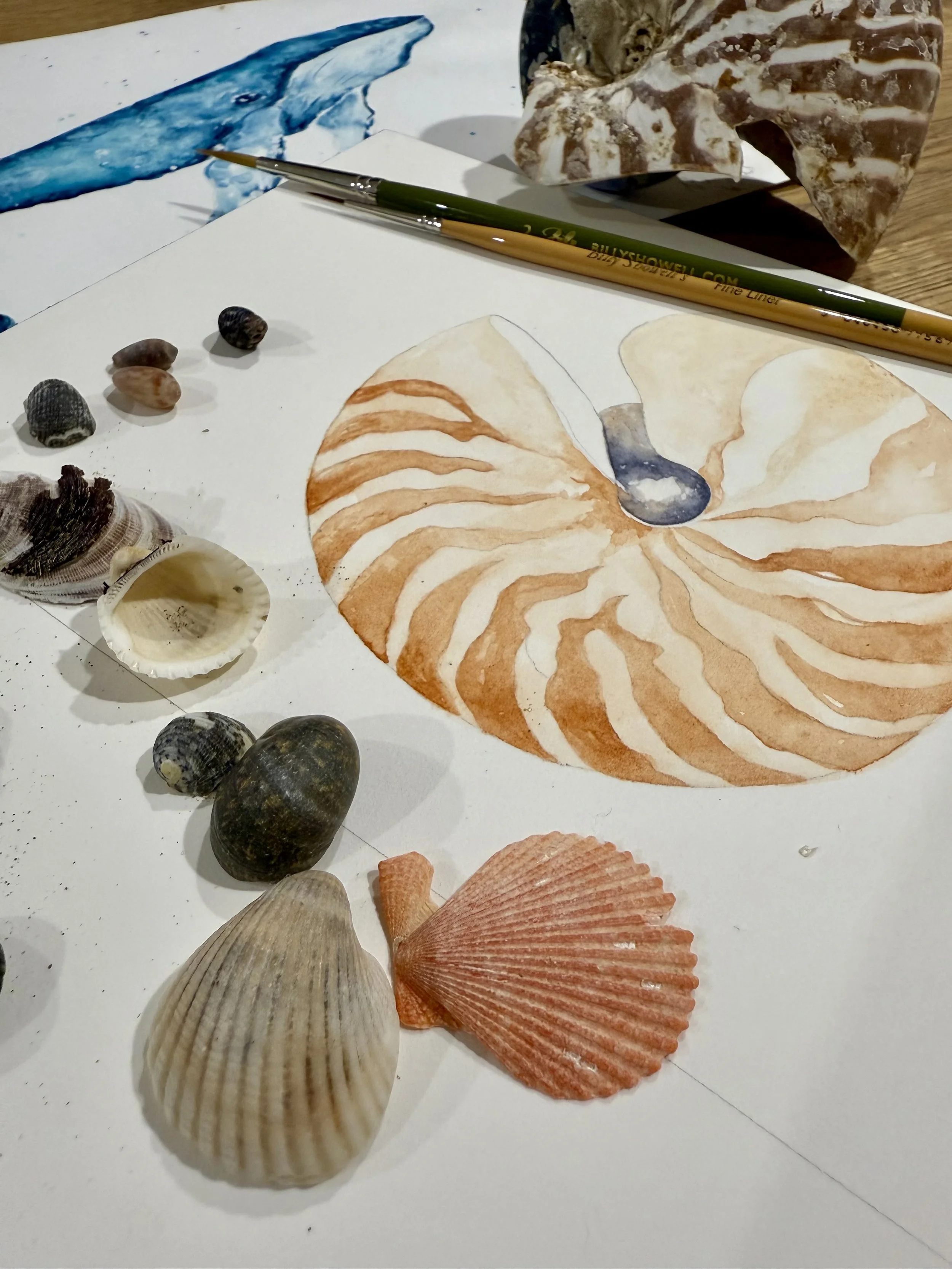 Private Birthday Party Workshop
