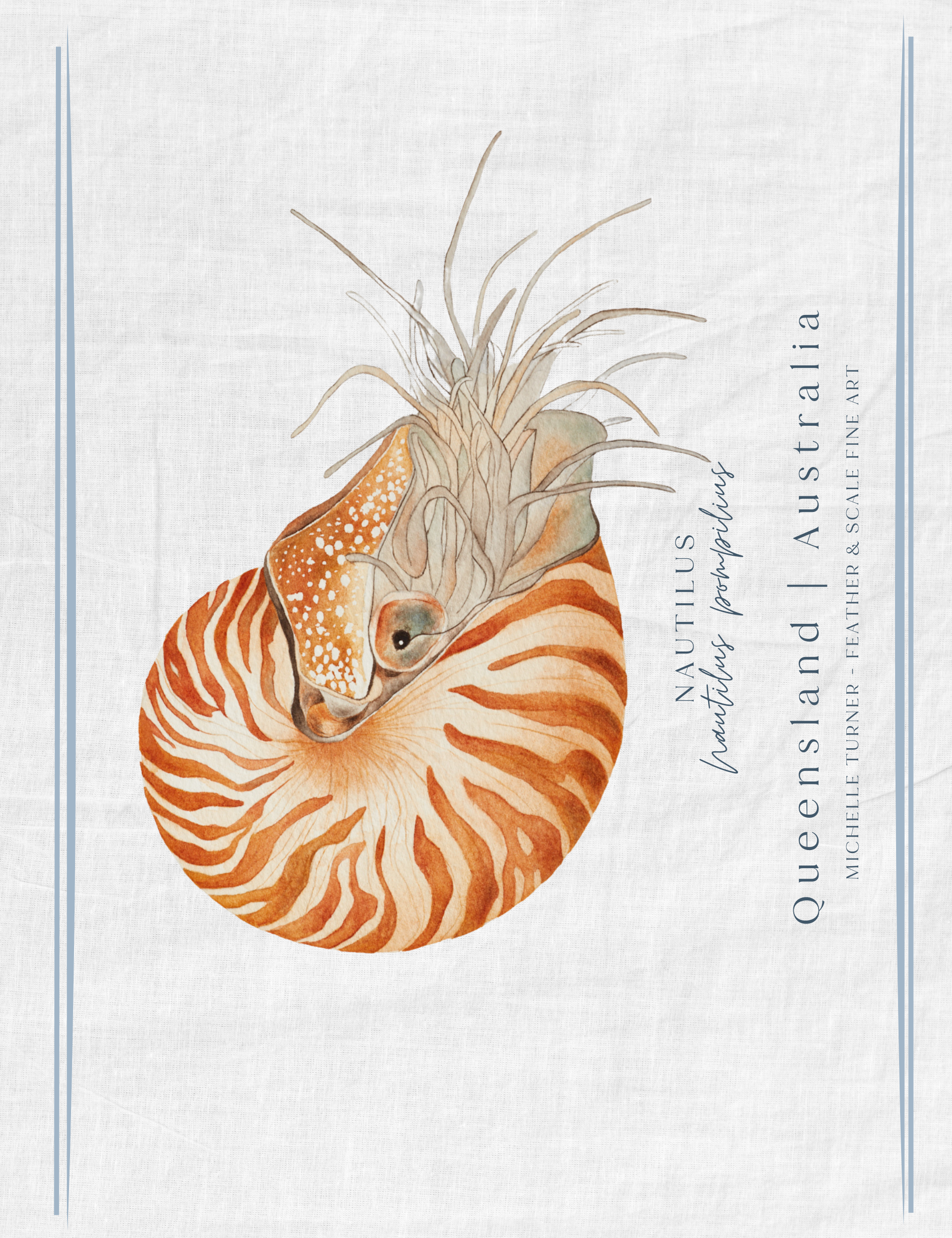 Tea Towel | Nautilus