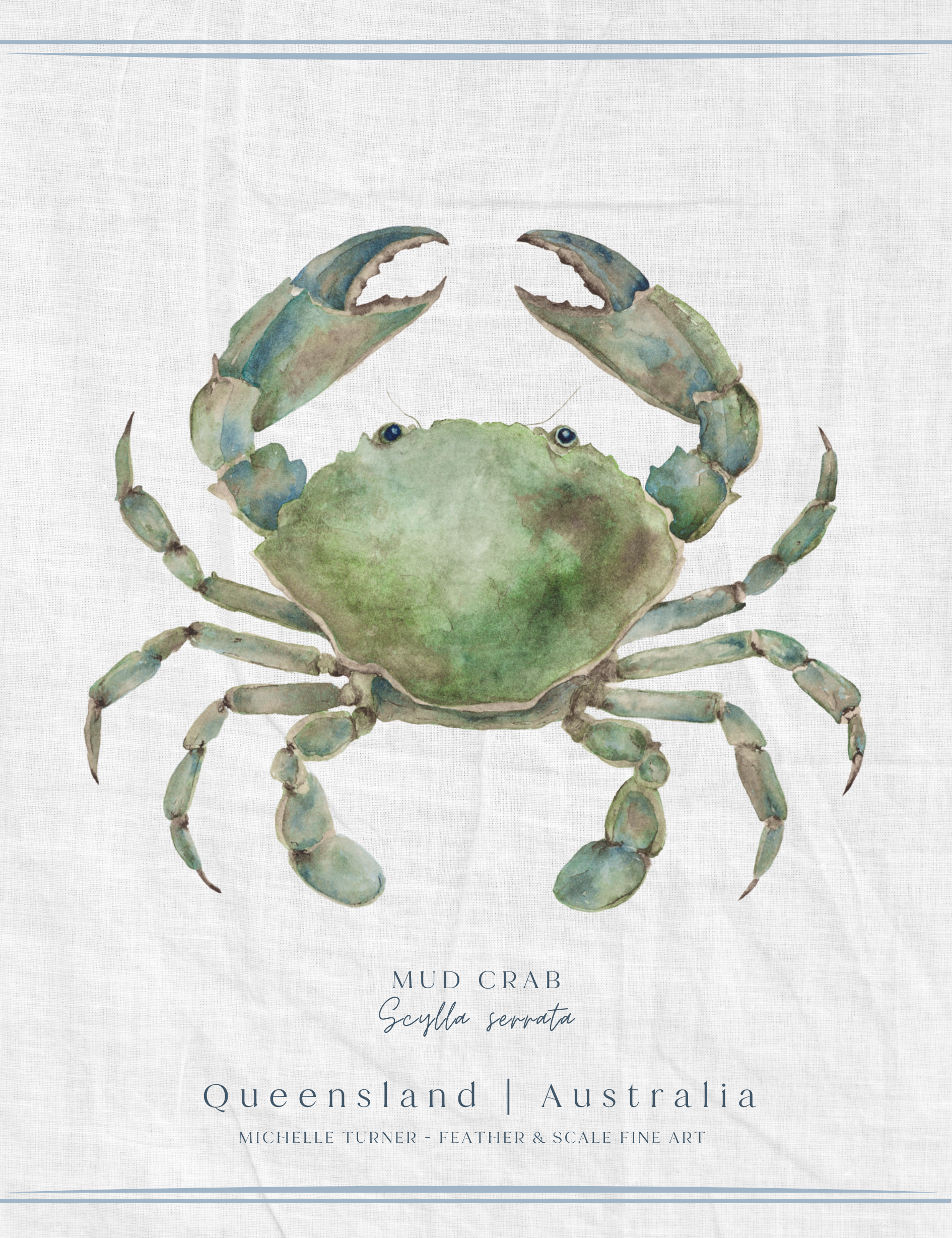 Tea Towel | Mud Crab