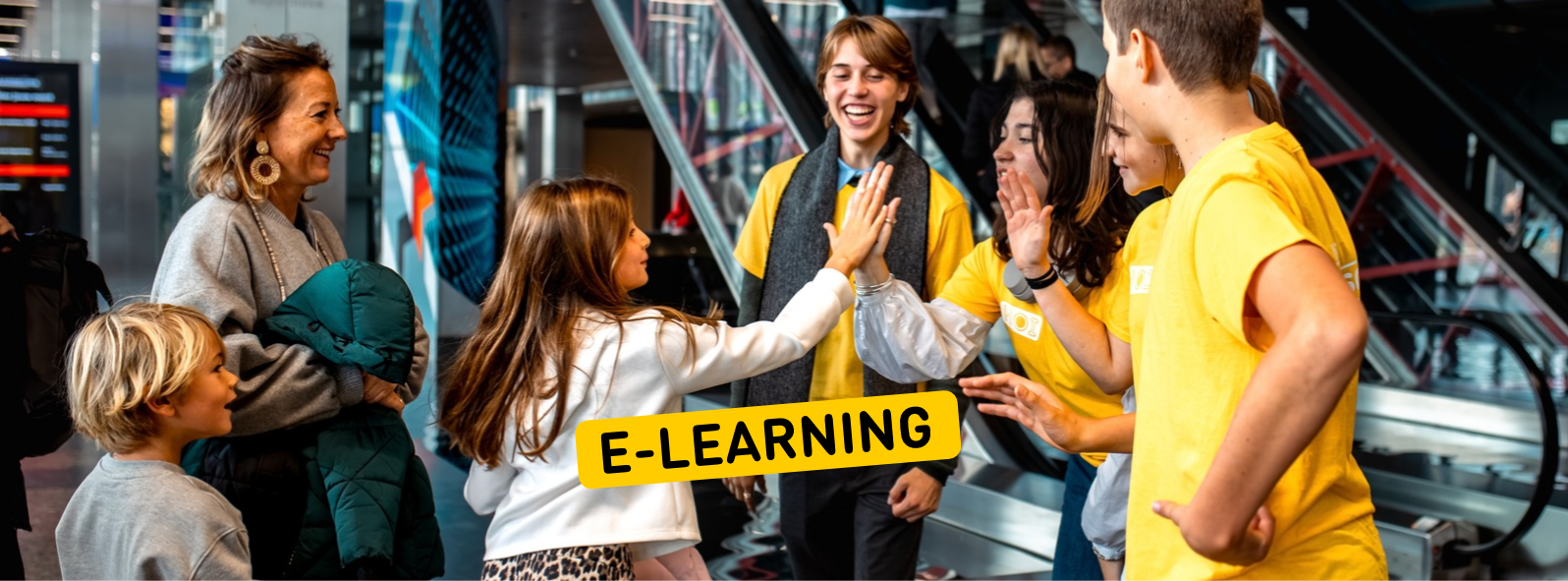E-learning voor onderwijsprofessionals