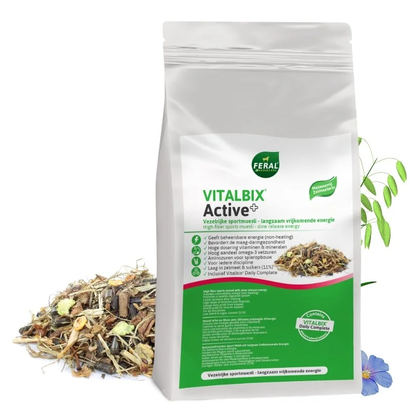 Vitalbix Active+.jpg